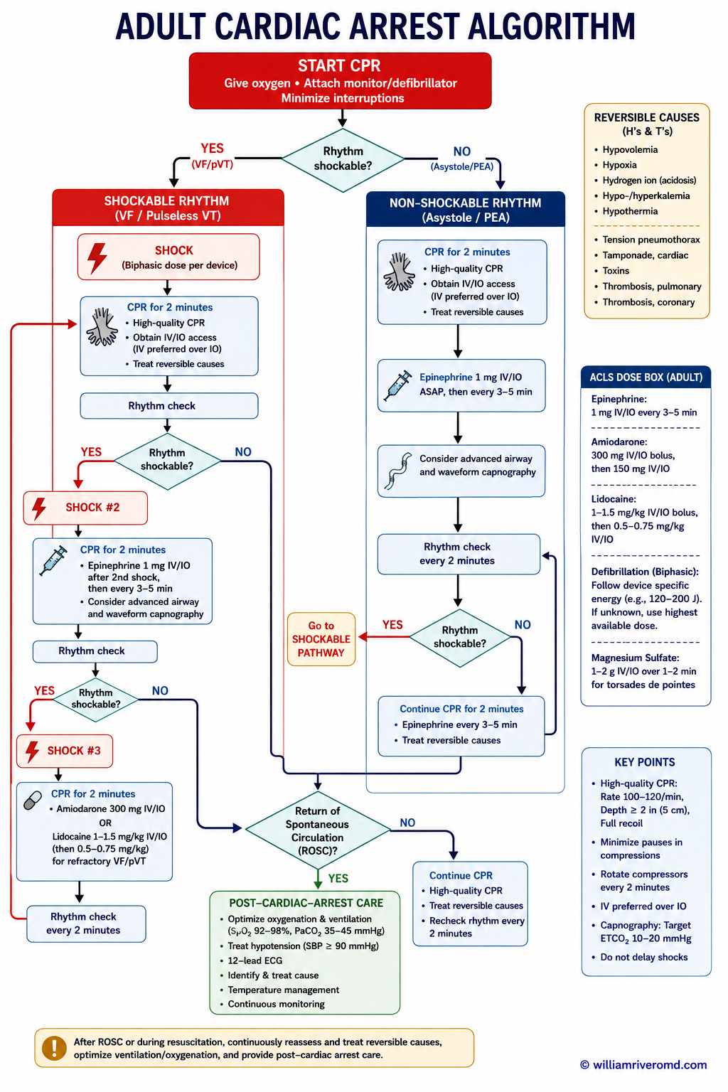 Adult cardiac arrest ACLS algorithm — shockable and non-shockable branches, epinephrine, amiodarone, defibrillation energy, IV preferred over IO, reversible causes