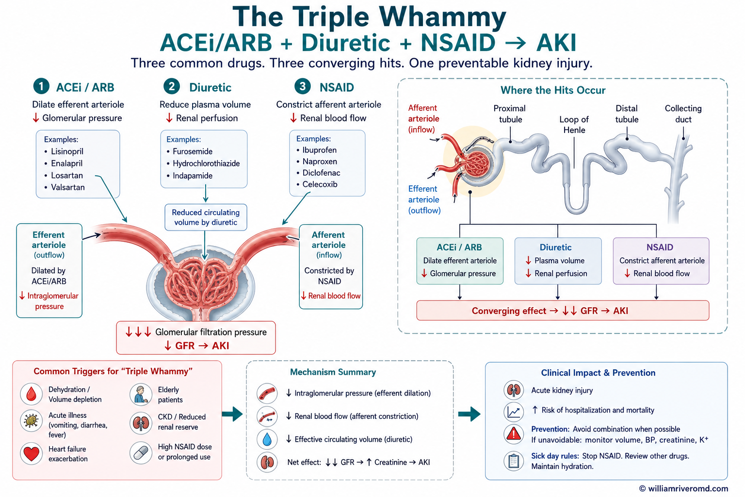 The Triple Whammy — ACE inhibitor/ARB plus diuretic plus NSAID in a dehydrated CKD patient causing acute kidney injury with patient action plan