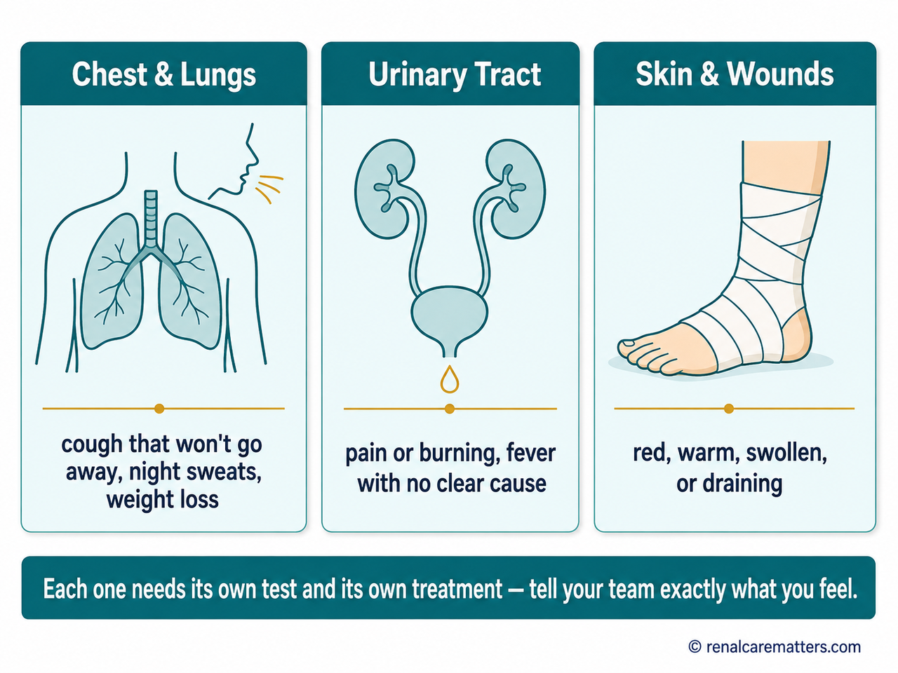 Three-panel chart of other infections a dialysis patient should watch for: chest and lungs, urinary tract, and skin and wounds
