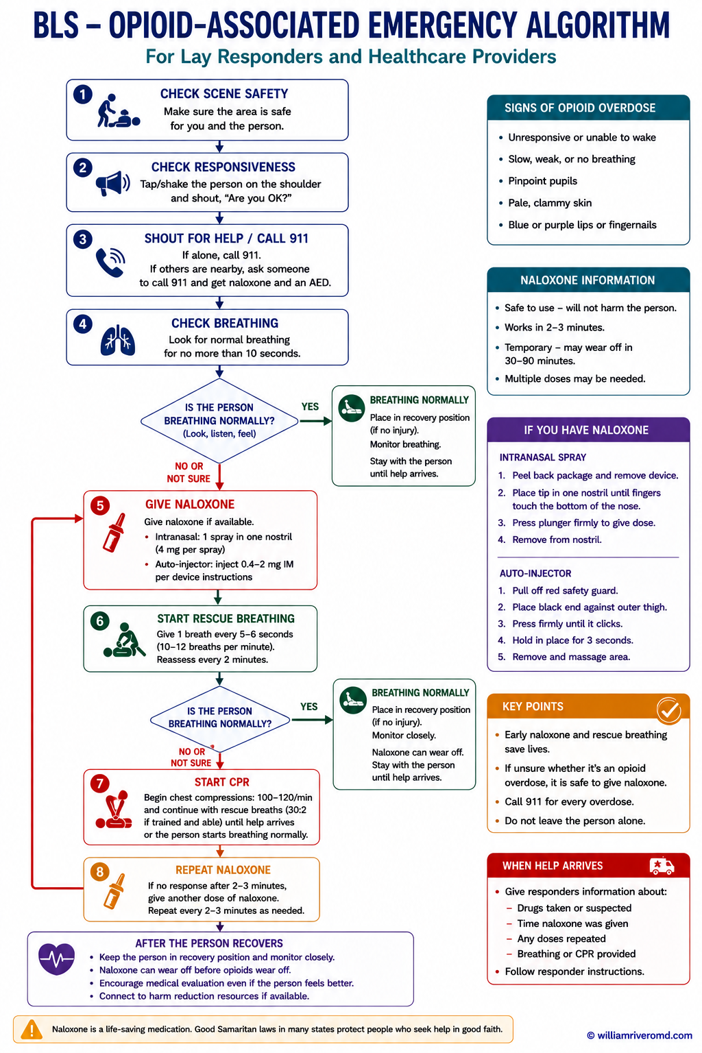 Opioid-associated emergency BLS algorithm — naloxone, rescue breaths, and CPR