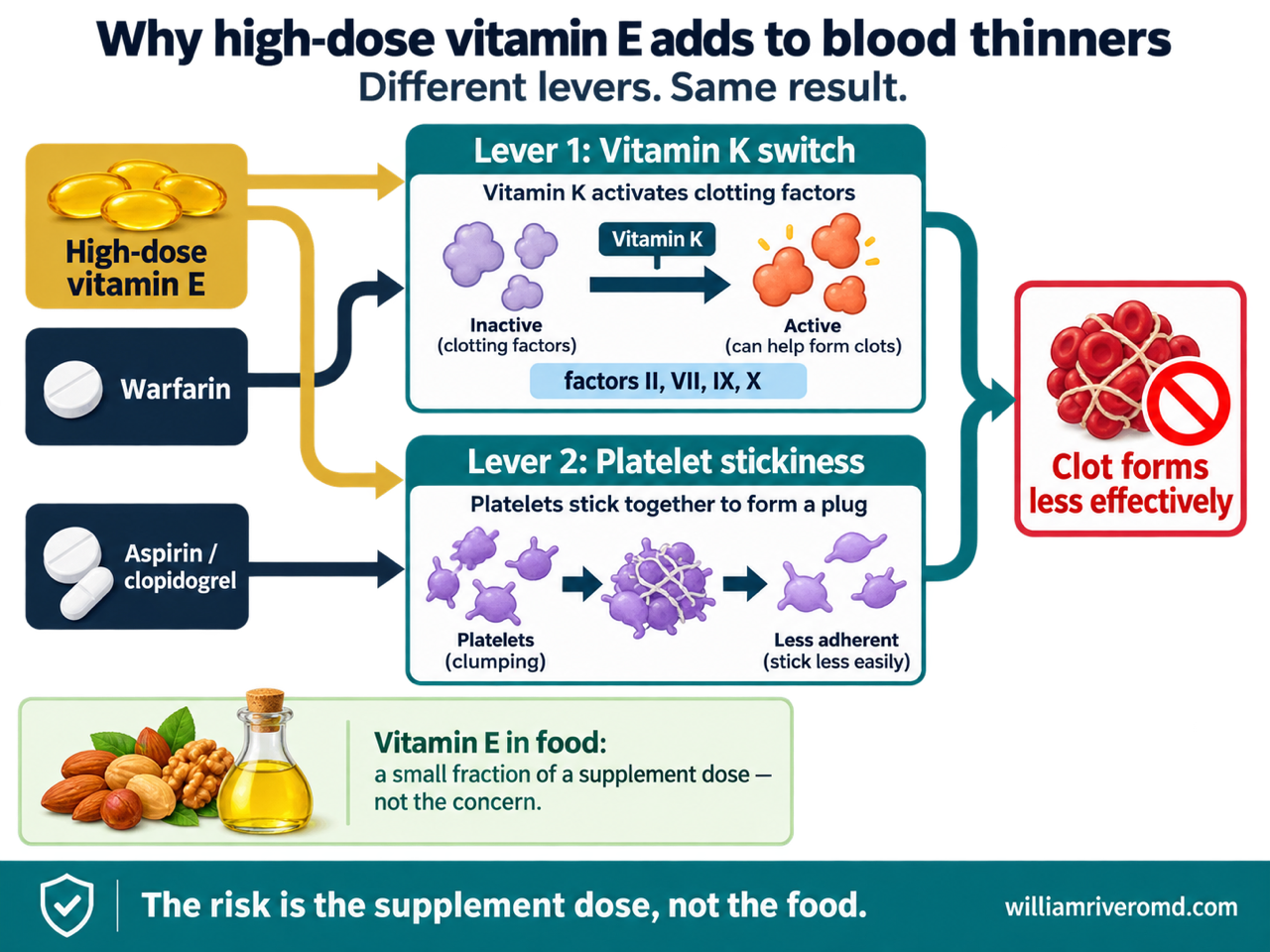 Schematic showing high-dose vitamin E, warfarin and antiplatelet drugs converging on the vitamin K activation step and on platelet stickiness