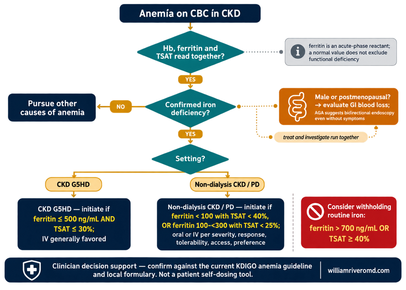Clinician flowchart for iron assessment in CKD: read hemoglobin, ferritin and TSAT together, confirm deficiency, evaluate GI blood loss in parallel, then initiate by setting with explicit withholding thresholds