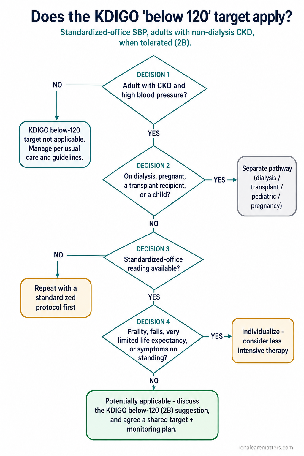 A top-down decision pathway: adult with CKD and high BP; not on dialysis, pregnant, transplant, or a child; a standardized office reading available; no frailty, falls, or symptoms; then a shared target and monitoring plan.