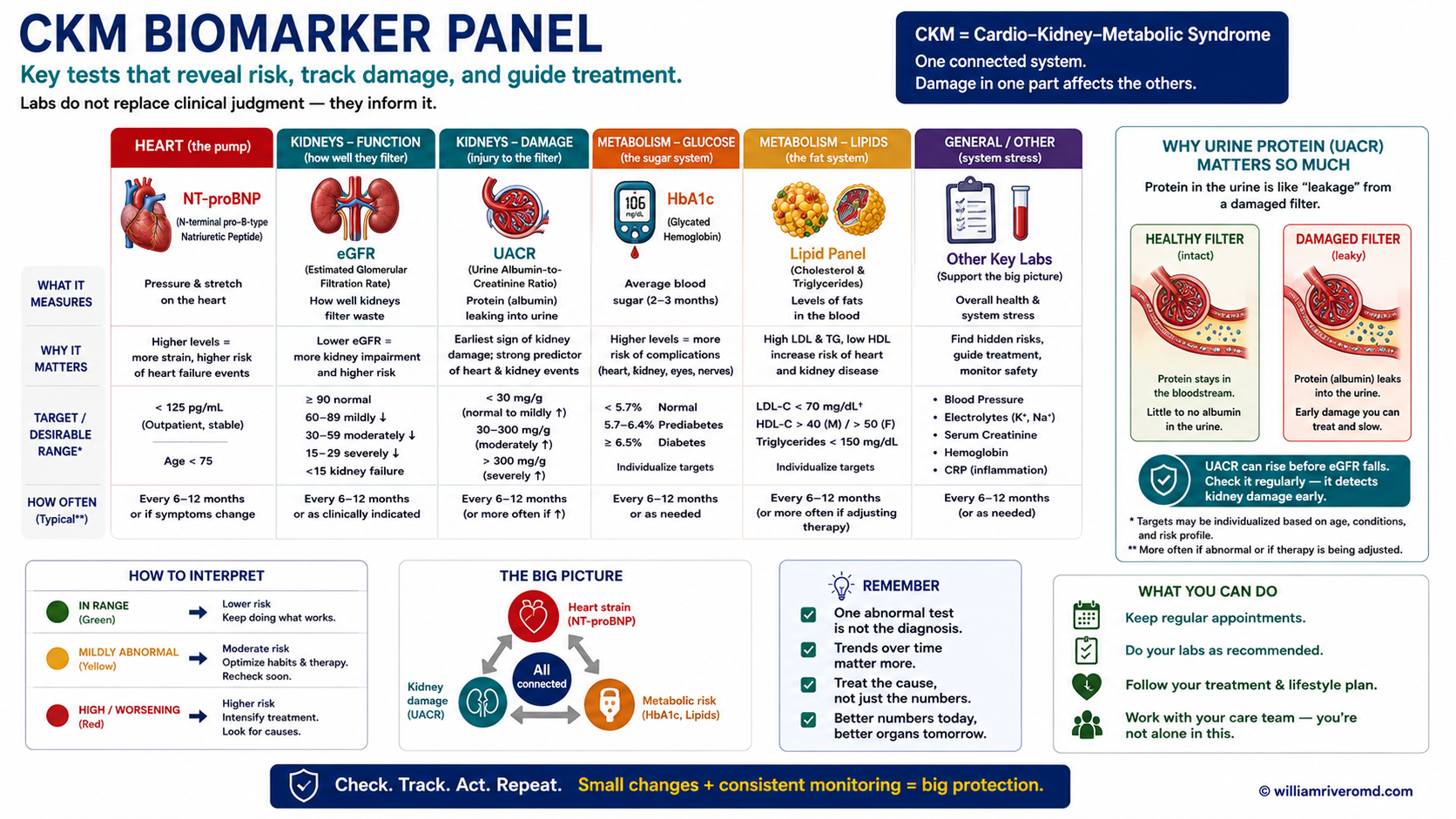 Clinical biomarker panel showing eGFR, UACR, HbA1c, natriuretic peptides, and waist circumference as the combined CKM assessment toolkit