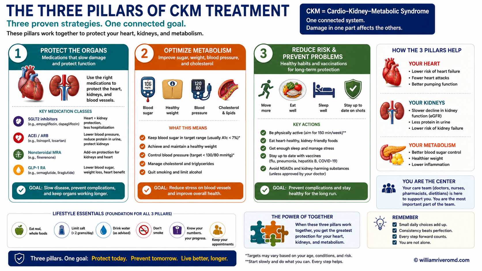 Three pillars of CKM treatment: targeted medicines, nutrition, and movement working together to protect heart, kidneys, and metabolism