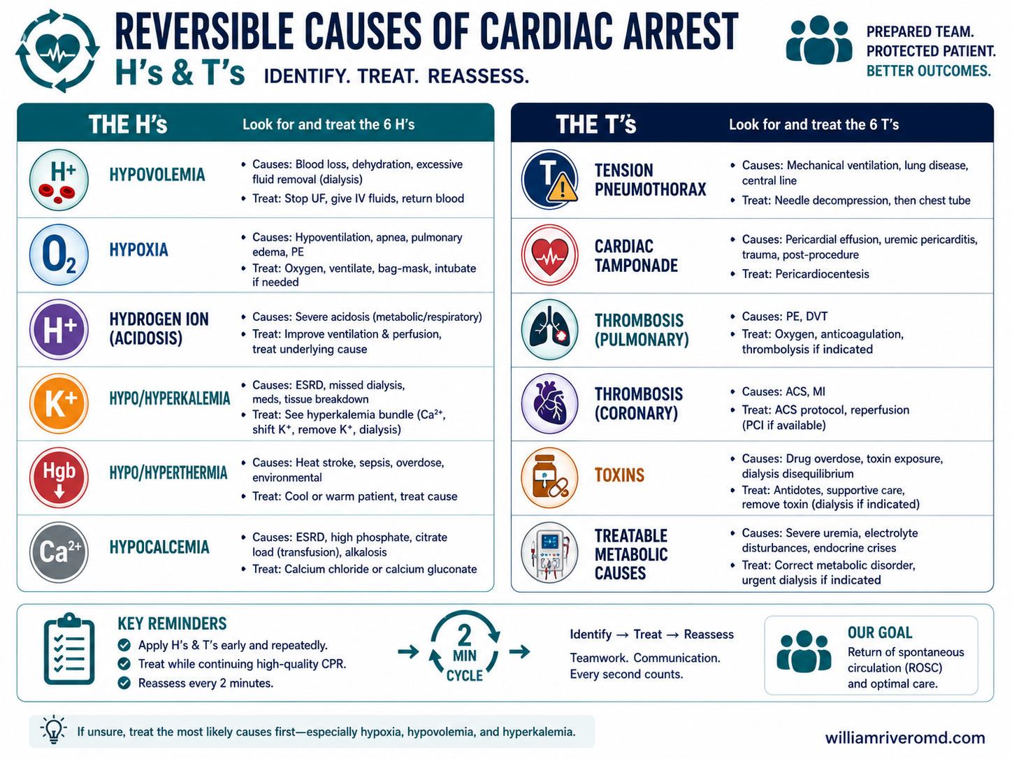 Reference card of reversible cardiac-arrest causes in dialysis — the H's and T's, flagging hyperkalemia, hypovolemia, and air embolism as high-yield