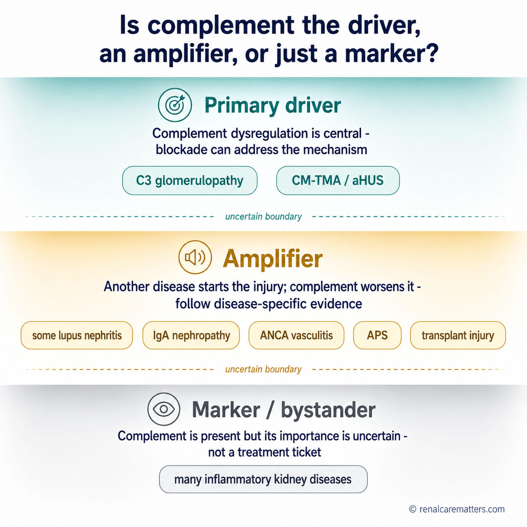 Three stepped zones: primary driver diseases, complement-amplified diseases, and complement-associated findings, with representative kidney diseases in each and explicit uncertainty between them.