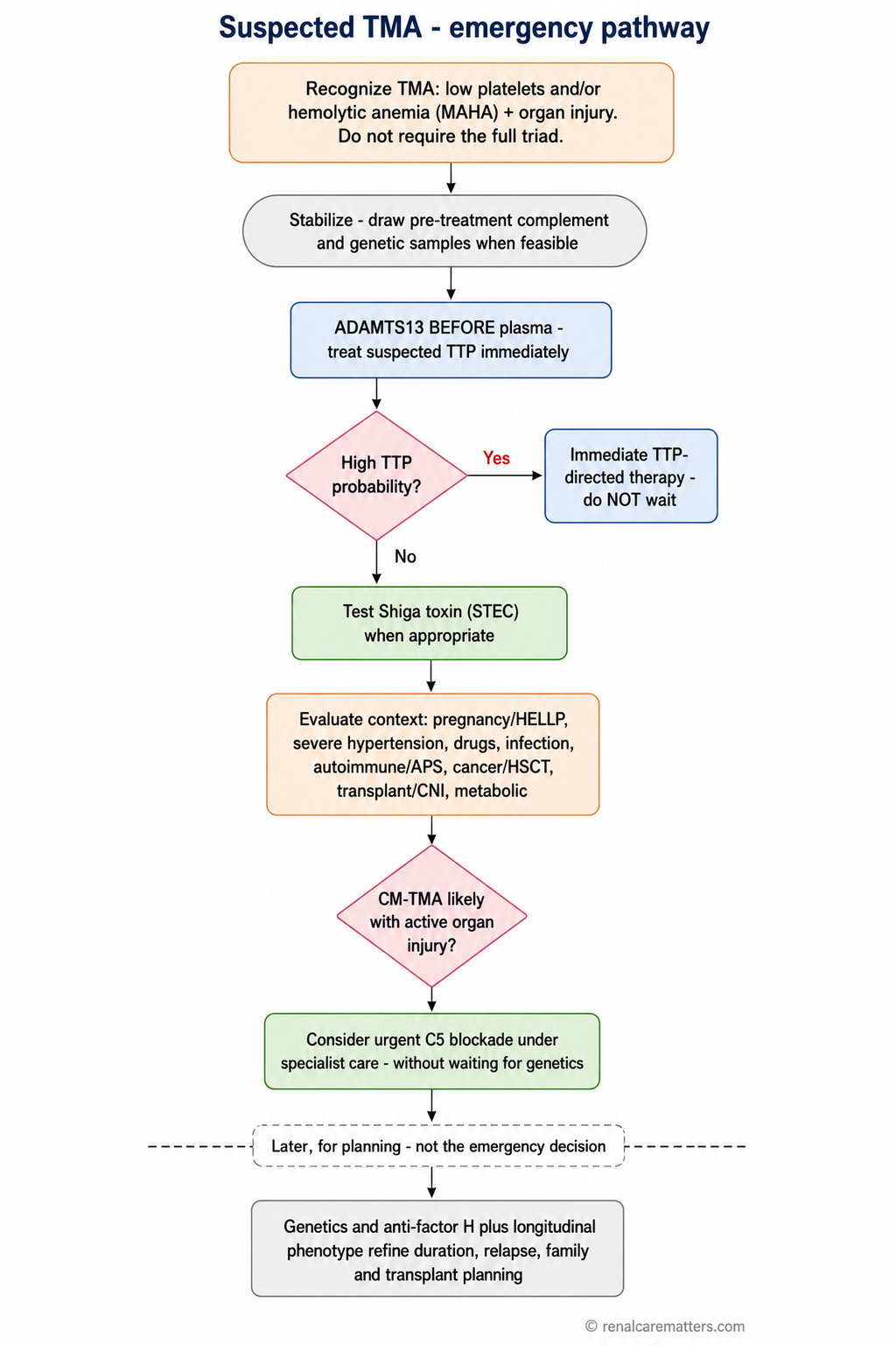 Vertical emergency algorithm: recognize TMA, draw pretreatment samples, ADAMTS13 before plasma and TTP-directed therapy, Shiga toxin testing, evaluate secondary contexts, assess complement, consider urgent C5 blockade, then genetics for longitudinal planning.