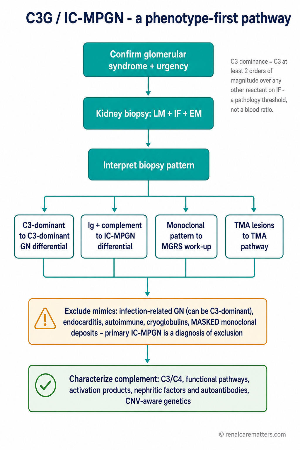 Vertical flow: glomerular findings to LM/IF/EM biopsy, to C3-dominant versus immune-complex branch, to exclusion of secondary causes, to complement characterization.