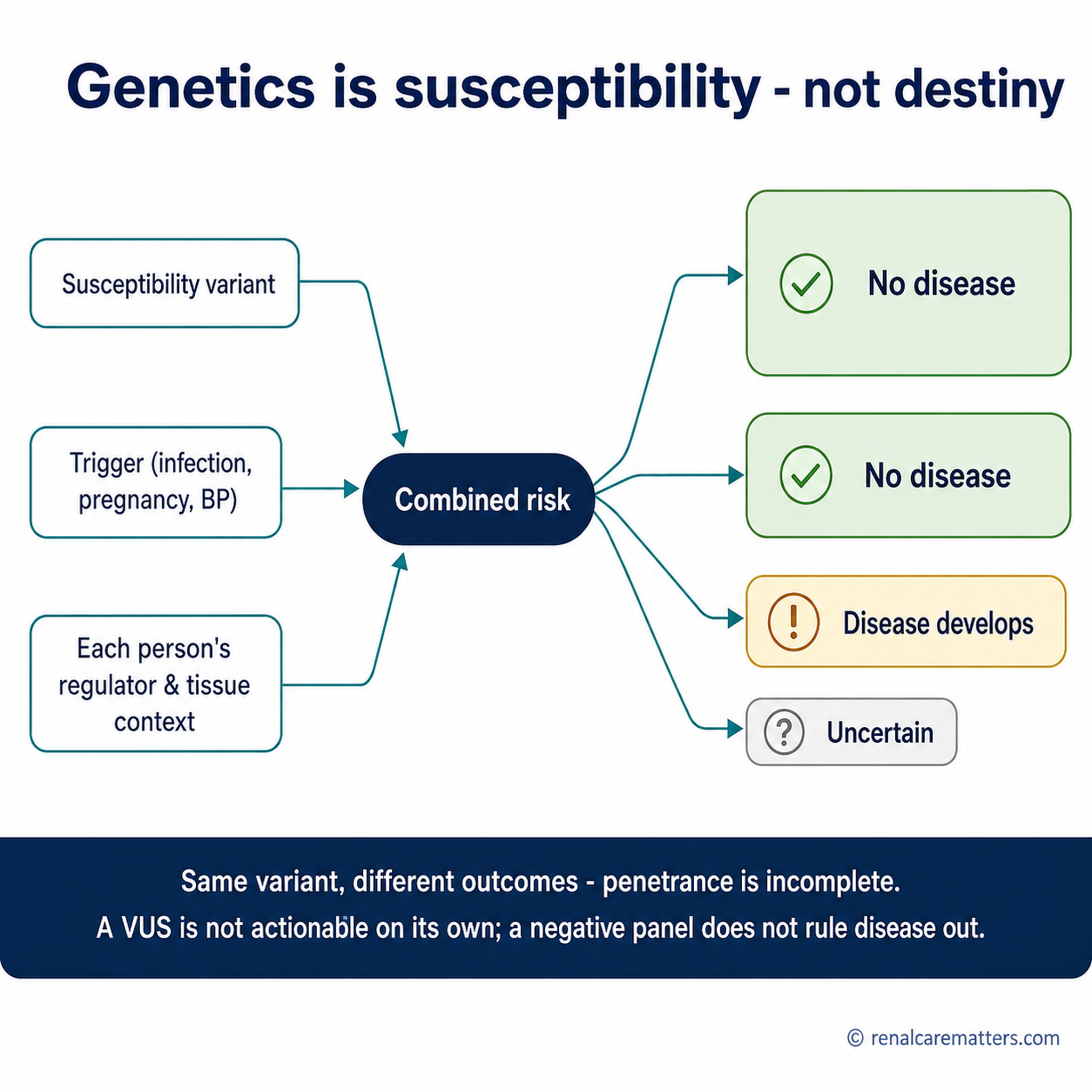 A branching diagram: a gene variant plus a trigger, plus the regulatory environment and tissue context, leading to several possible outcomes — some people affected, some not — showing incomplete penetrance.