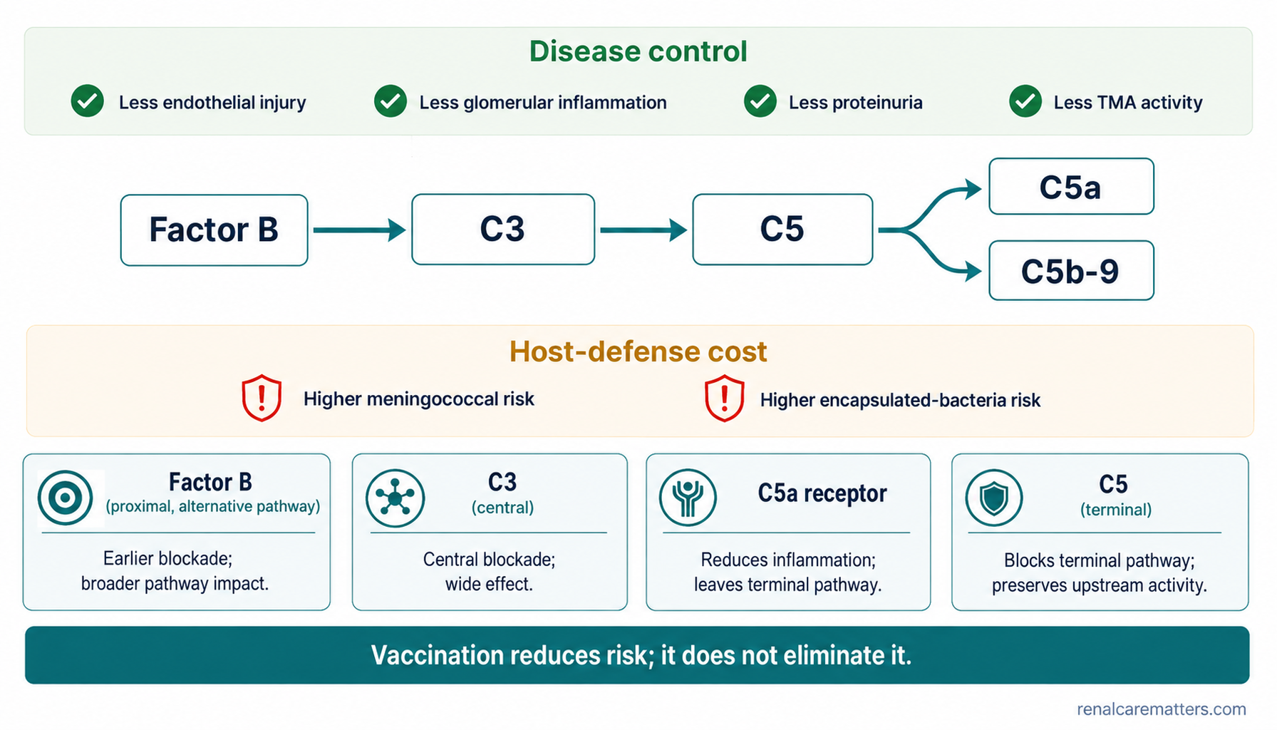 Benefit–risk view: the complement cascade with disease-control gains above and host-defense costs below, four equally sized blockade cards, and the message that vaccination reduces but does not eliminate risk