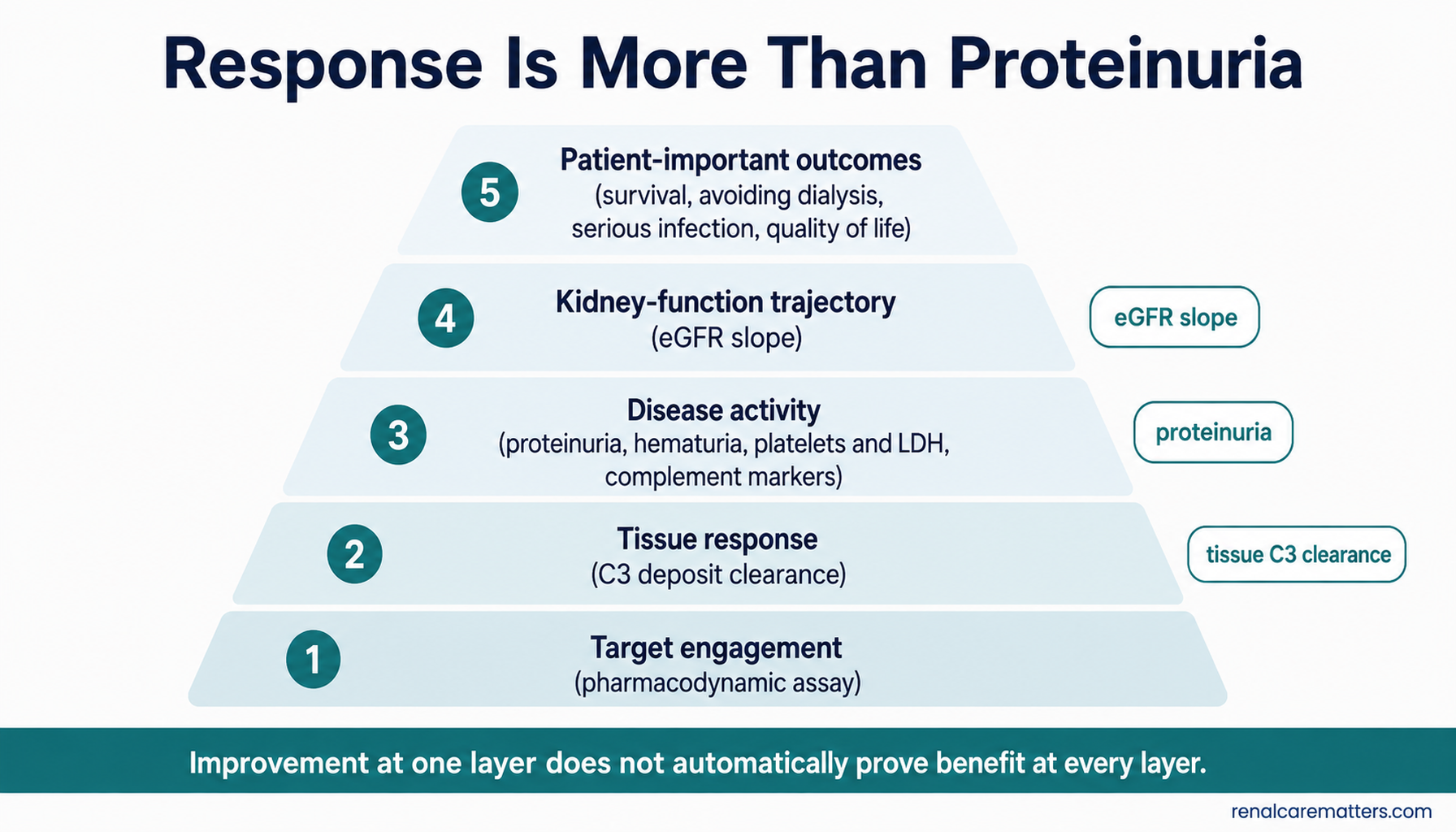 Five ascending response layers from target engagement up to patient-important outcomes, with proteinuria, eGFR slope, and tissue C3 clearance placed at their correct layers