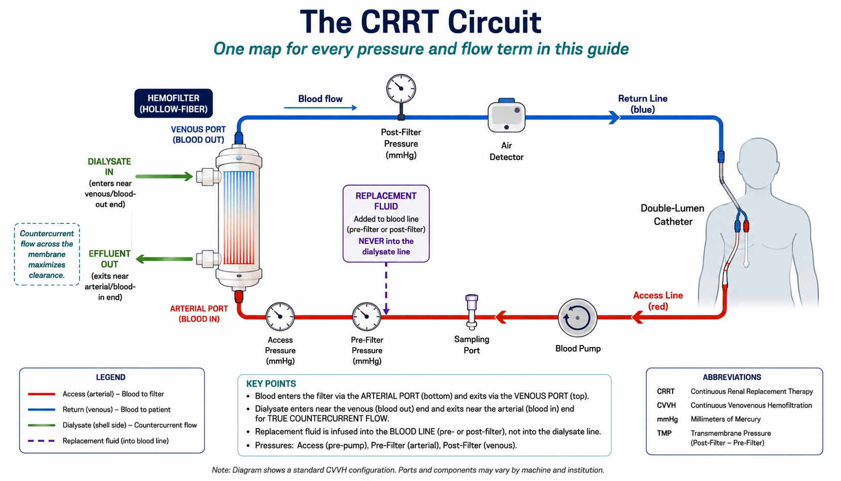 One map of the whole CRRT circuit: blood is drawn from the patient's double-lumen catheter along the red access line, through the blood pump, and enters the hemofilter's arterial port at the bottom. Dialysate enters near the venous (blood-out) end and effluent exits near the arterial (blood-in) end, for true countercurrent flow. Replacement fluid merges into the blood line itself, never into the dialysate line. Blood returns to the patient along the blue return line, passing post-filter pressure and the air detector.