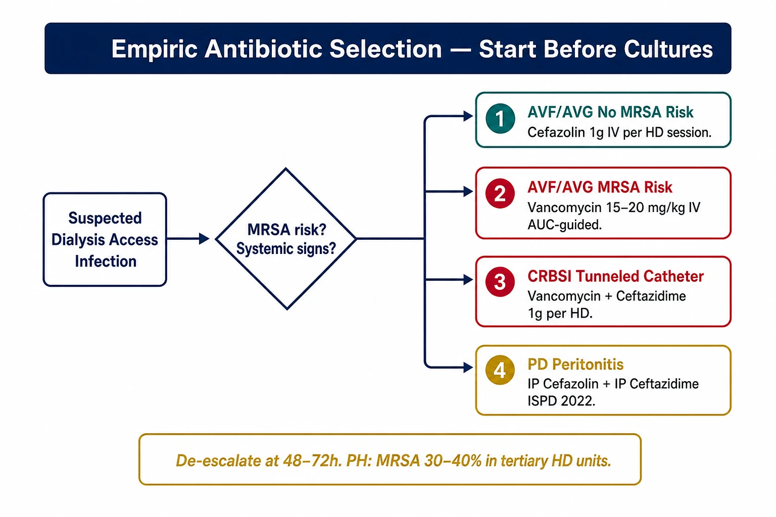Empiric antibiotic decision flowchart for dialysis access infections — AVF/AVG cellulitis, CRBSI, PD peritonitis branches with Philippine MRSA context