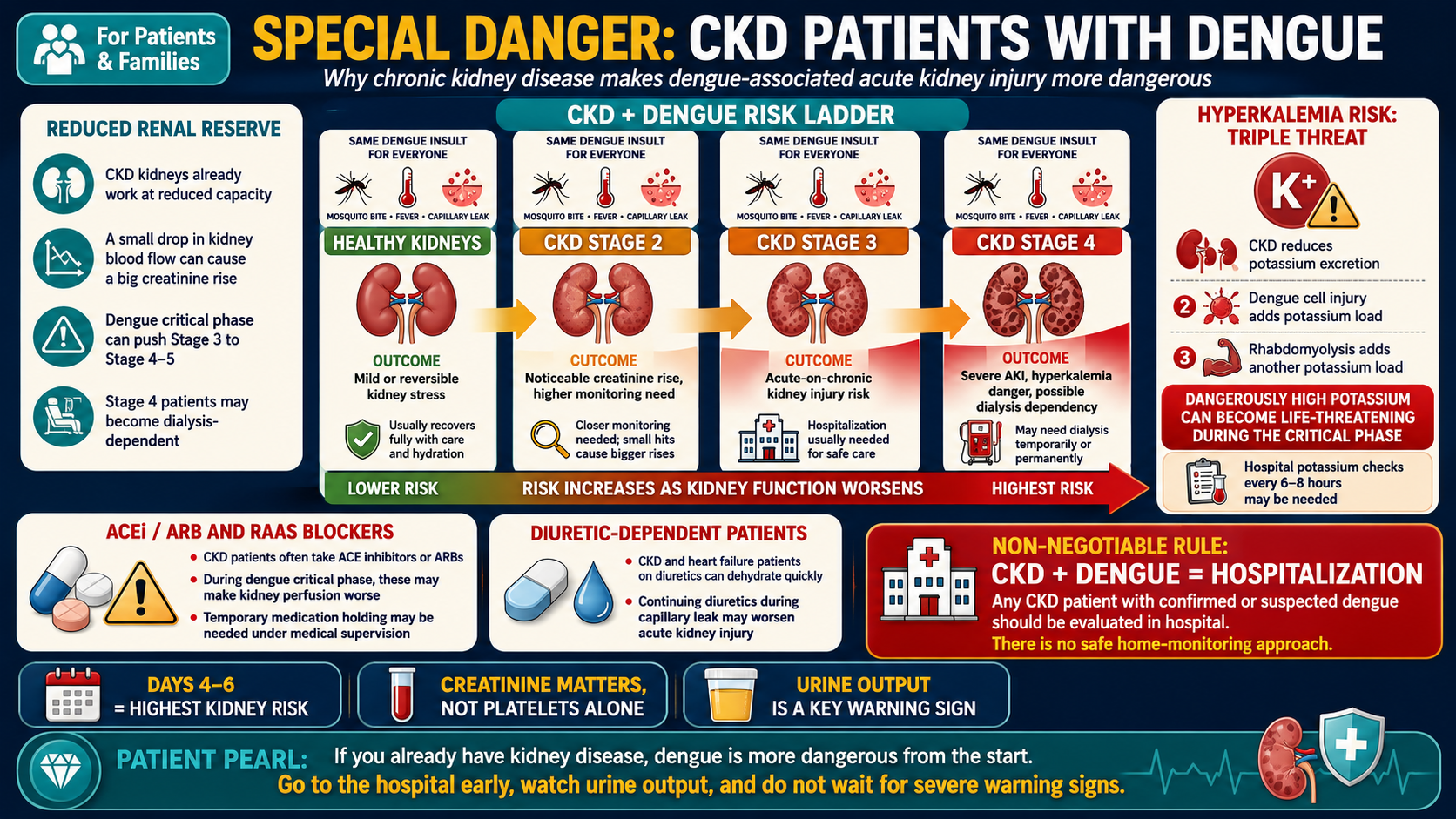 CKD and dengue risk ladder — how dengue-AKI severity scales with worsening CKD baseline; hyperkalemia risk and ACEi/ARB callout · williamriveromd.com