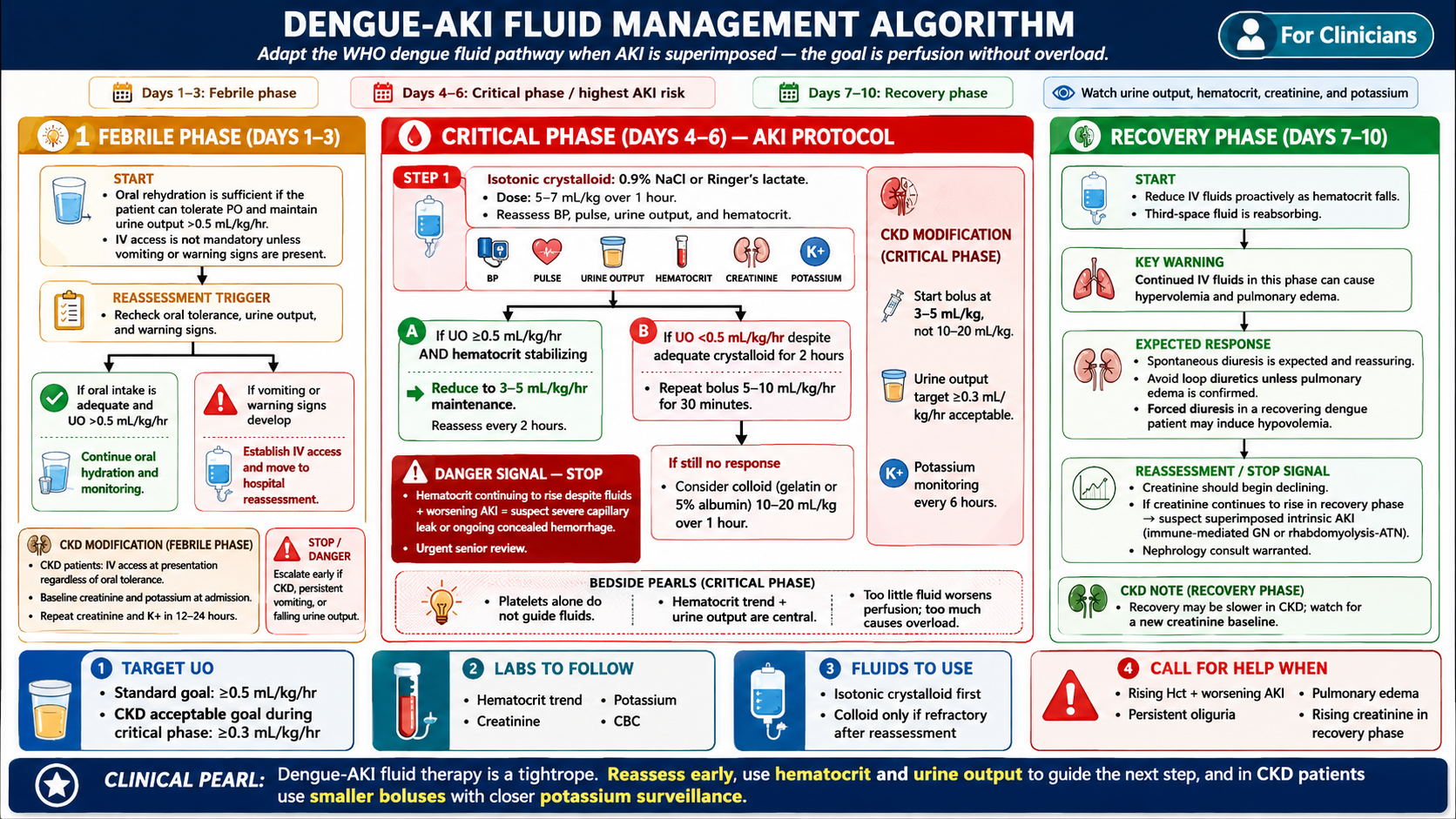 Dengue-AKI fluid management algorithm — three-phase flowchart (febrile/critical/recovery): fluid rate, reassessment triggers, response branches, escalation steps; CKD modification callouts · williamriveromd.com