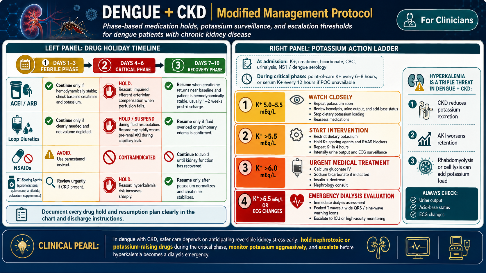 Dengue + CKD modified protocol card — drug holiday timeline (ACEi/ARB, diuretics, NSAIDs, K+-sparing agents by phase) and potassium action ladder (5.5→6.0→6.5 mEq/L interventions) · williamriveromd.com