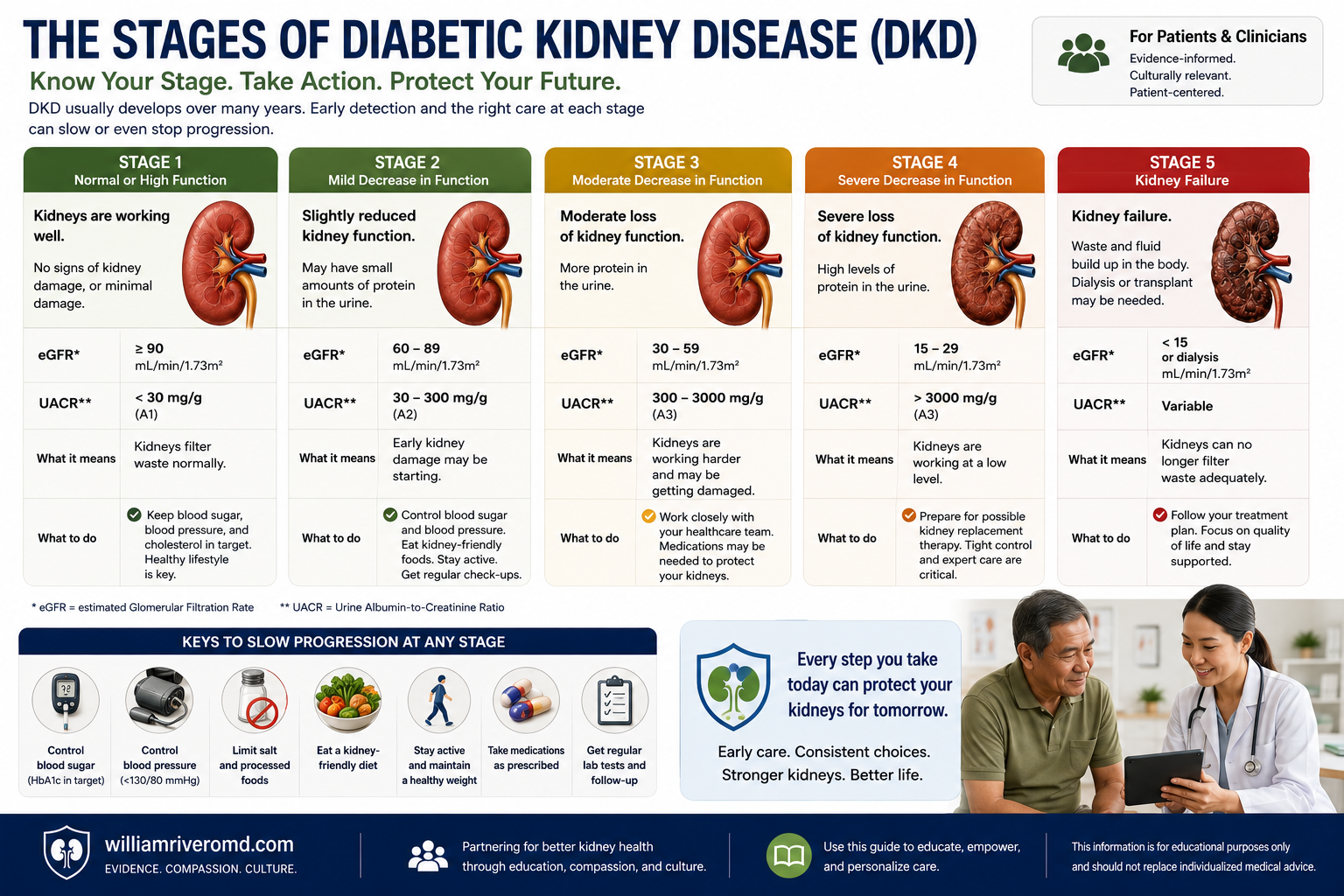 Infographic: Stages of Diabetic Kidney Disease — 5 stages from hyperfiltration phase through early, established, advanced DKD to ESKD, with eGFR ranges, UACR levels, and action recommendations