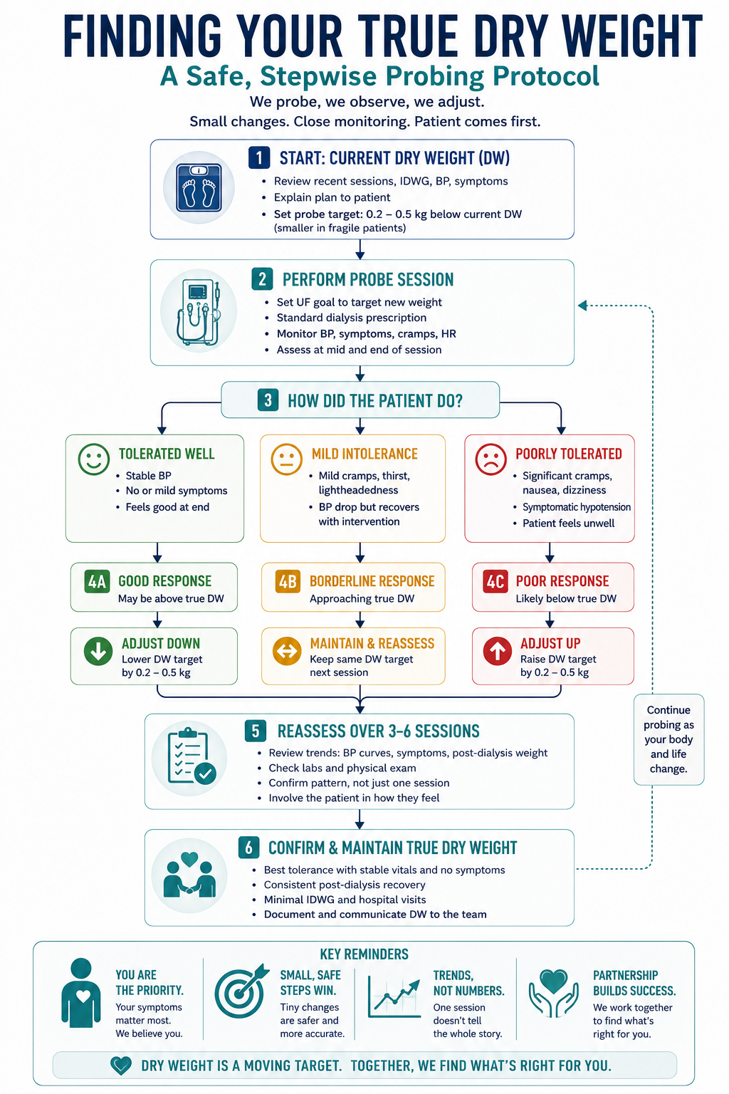 Probing-protocol flowchart for dry weight. A starting estimate feeds into two decision diamonds: 'Blood pressure high and exam shows overload?' — if yes, probe the target weight downward by 0.2 to 0.5 kg and watch the relative blood volume curve and symptoms; and 'Cramping or intradialytic hypotension or washout?' — if yes, probe the target upward. Both paths pass through a hard safety stop: an ultrafiltration rate ceiling of 13 milliliters per kilogram per hour that must not be exceeded. The flow ends with reassess after several sessions, cross-check the BCM or lung-ultrasound trend, then document and hand off.