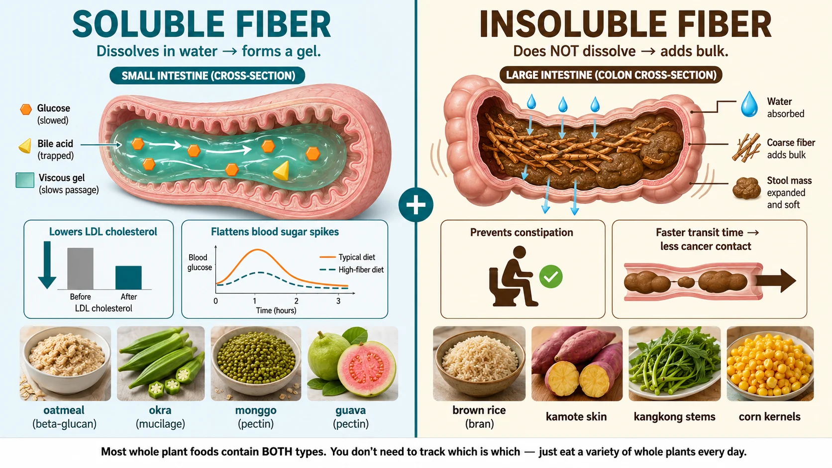 Soluble vs insoluble fiber: sources, what they do, and kidney-safe Filipino food examples