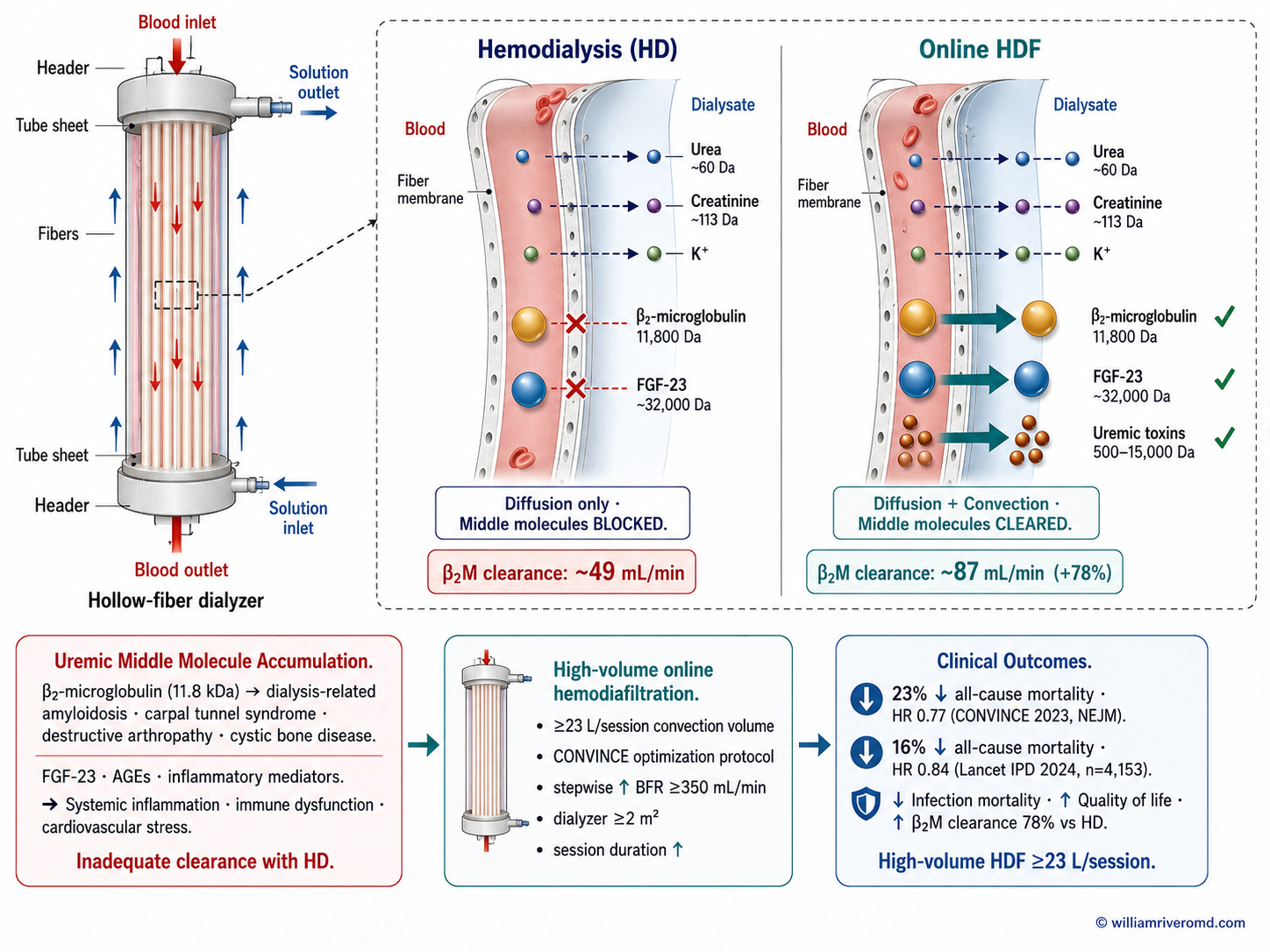 Hemodiafiltration mechanism: diffusion vs convection in online HDF — the scientific basis for superior middle molecule clearance