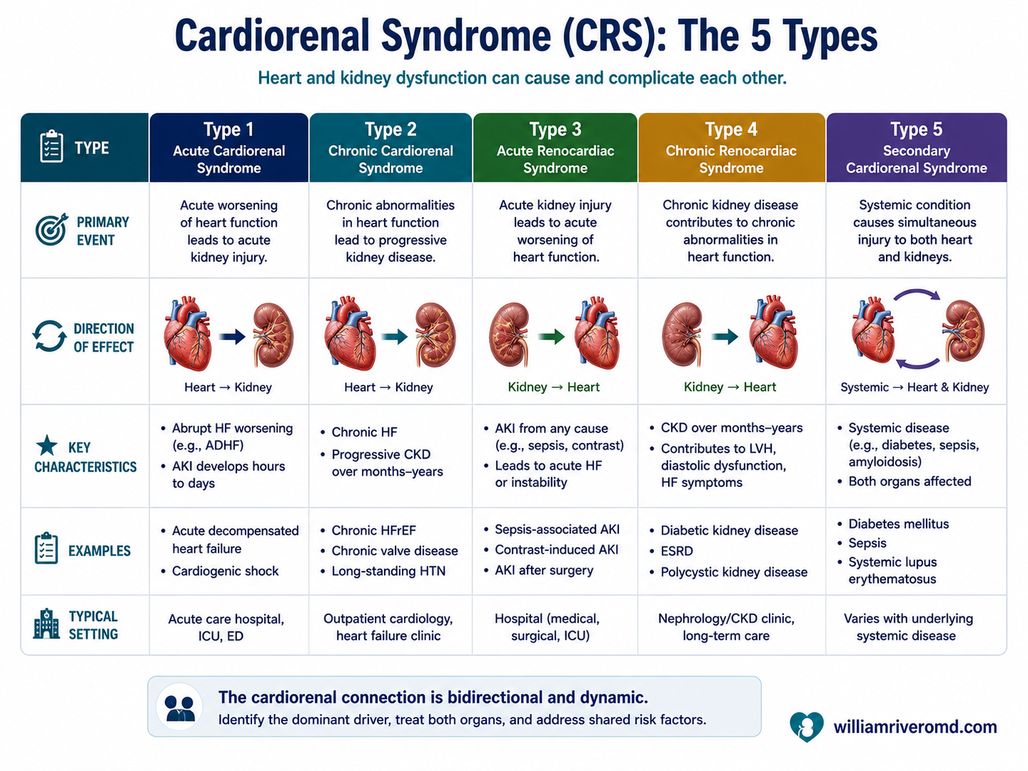 Reference card of the five cardiorenal syndrome types — which organ fails first (heart or kidney), how fast, with a plain example for each.