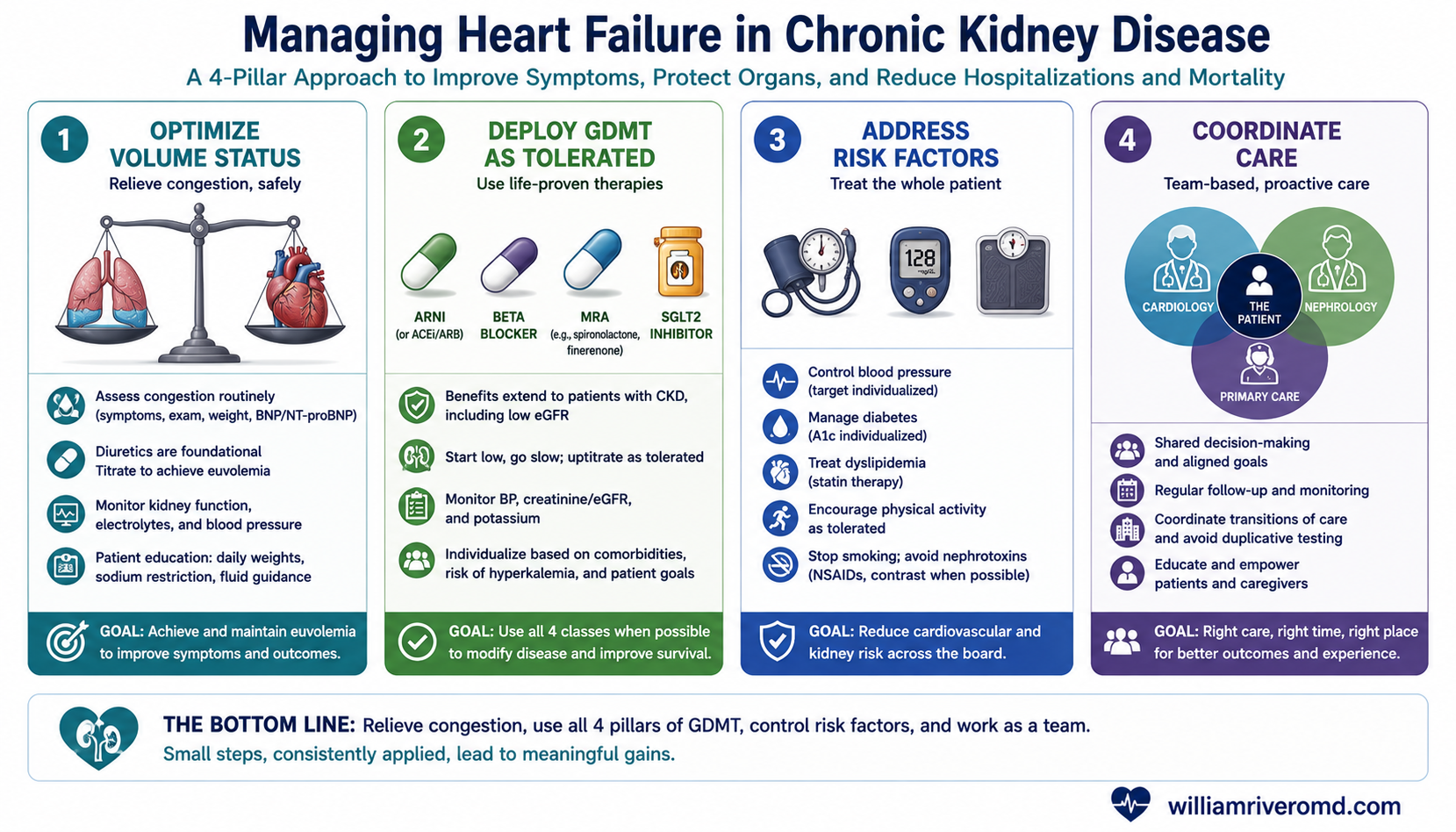 Patient infographic — a four-pillar approach to managing heart failure in CKD: optimise volume status, deploy guideline-directed therapy, address risk factors, and coordinate team-based care.