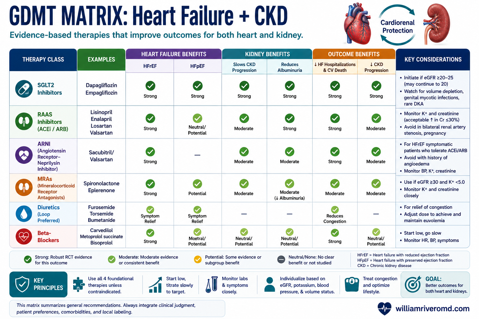 Matrix of guideline-directed medical therapy for HFrEF and HFpEF across eGFR strata.