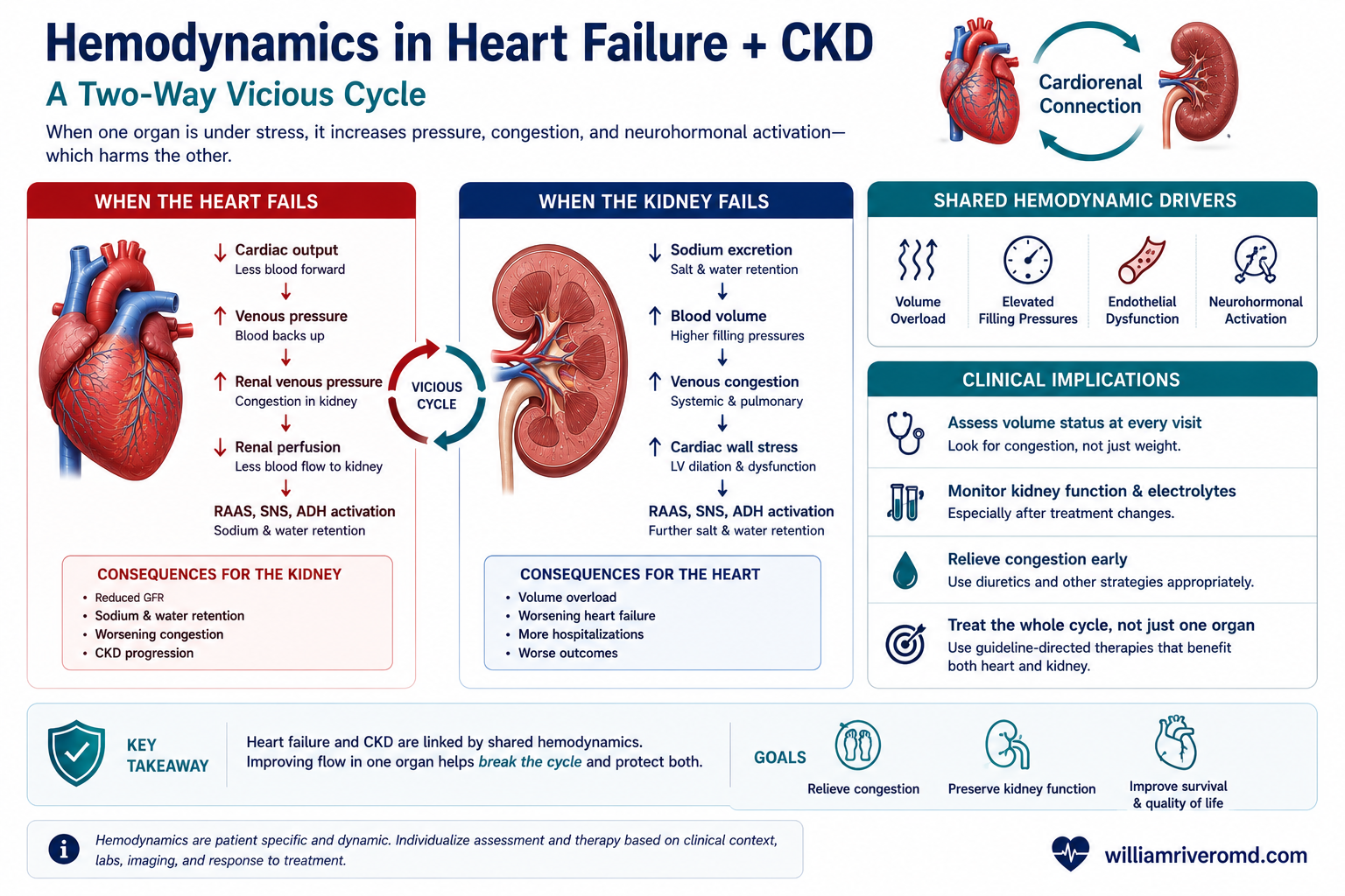 Mechanism schematic of cardiorenal haemodynamics — reduced cardiac output and raised central venous pressure lowering GFR via efferent vasoconstriction, increased filtration fraction, and proximal sodium avidity.