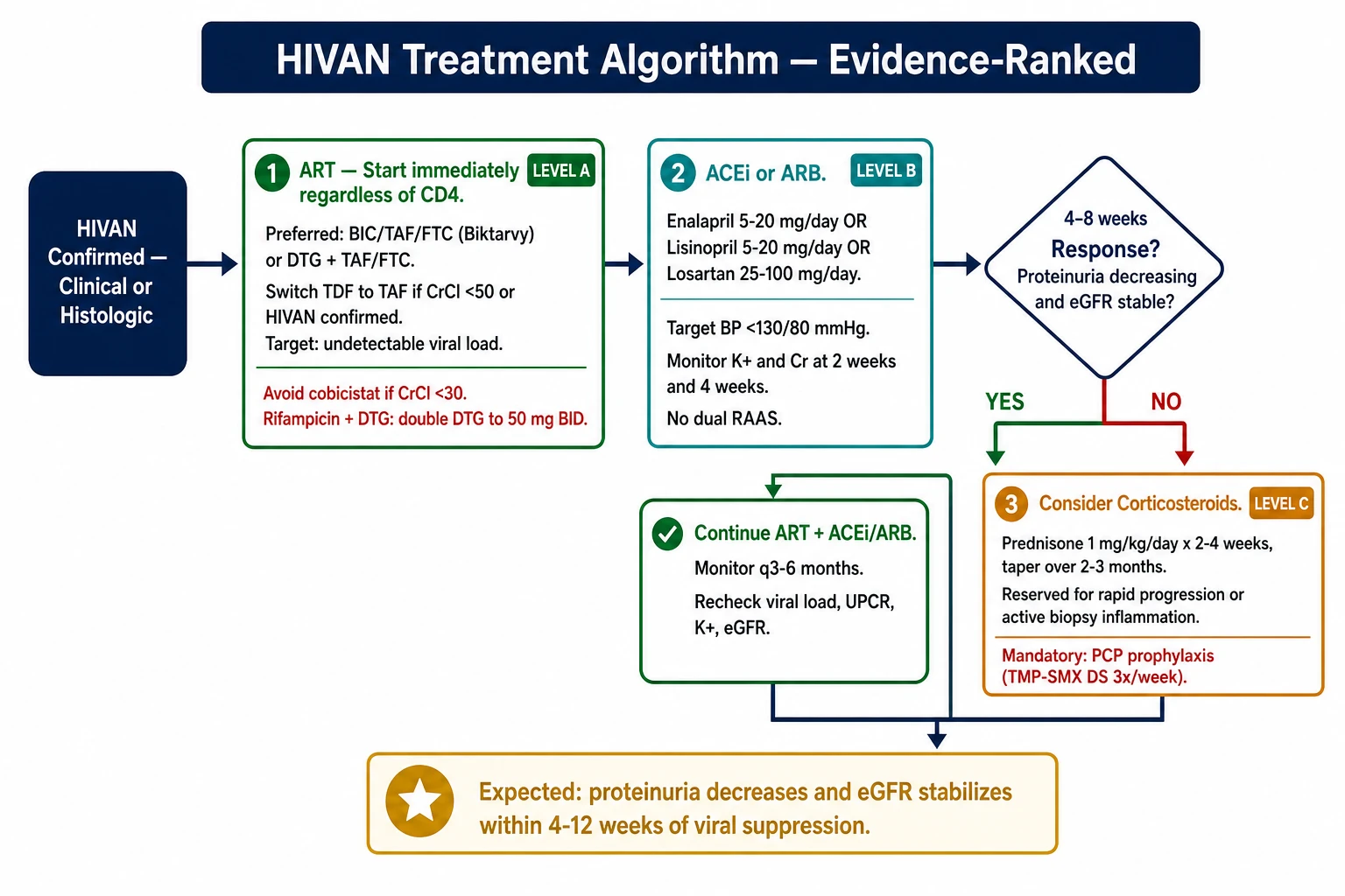 HIVAN treatment algorithm — ART Level A, ACEi/ARB Level B, corticosteroids Level C with response assessment