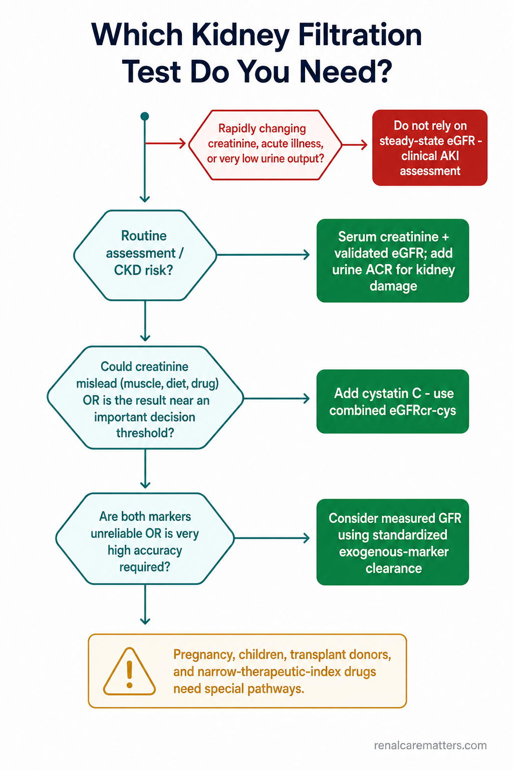 Portrait decision algorithm: an urgent red branch (rapidly changing creatinine / acute illness / low urine output leads to clinical AKI assessment, not steady-state eGFR) beside a main trunk with three green endpoints of rising precision — routine creatinine + eGFR + urine ACR; add cystatin C for combined eGFRcr-cys when creatinine may mislead or a decision is near a threshold; consider measured GFR when both markers are unreliable or very high accuracy is needed — plus an amber note that pregnancy, children, transplant donors and narrow-therapeutic-index drugs need special pathways.
