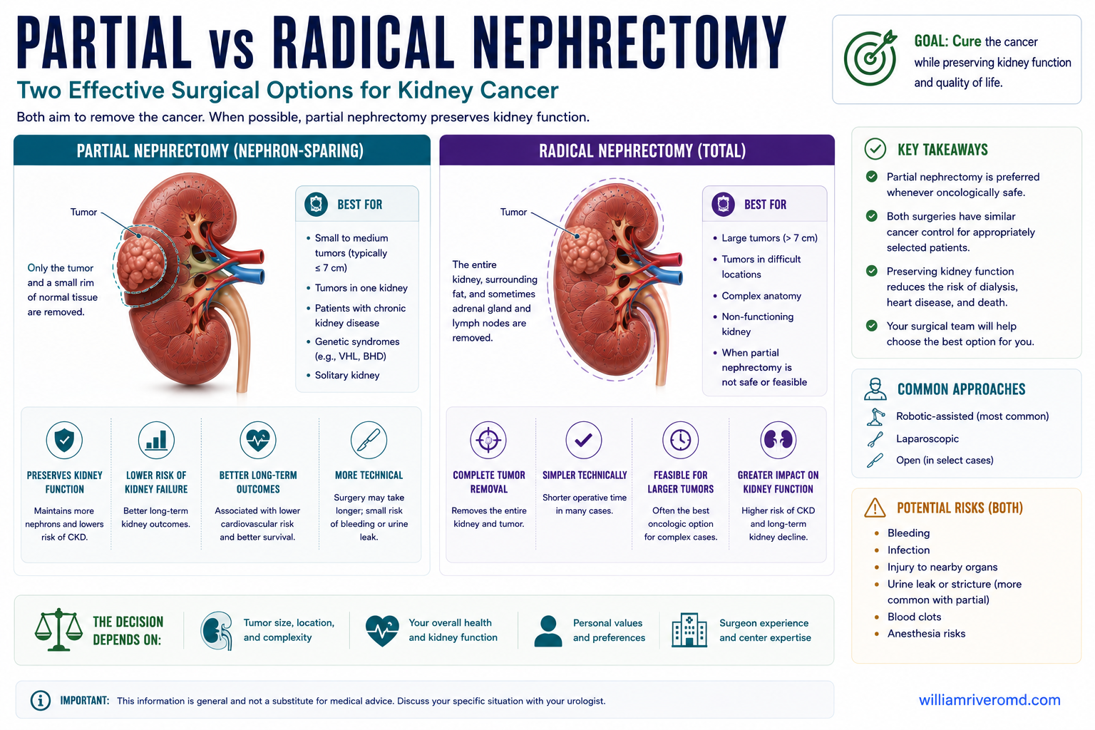 Partial versus radical nephrectomy — partial removes only the tumor and preserves most kidney function, while radical removes the whole kidney with greater loss of function