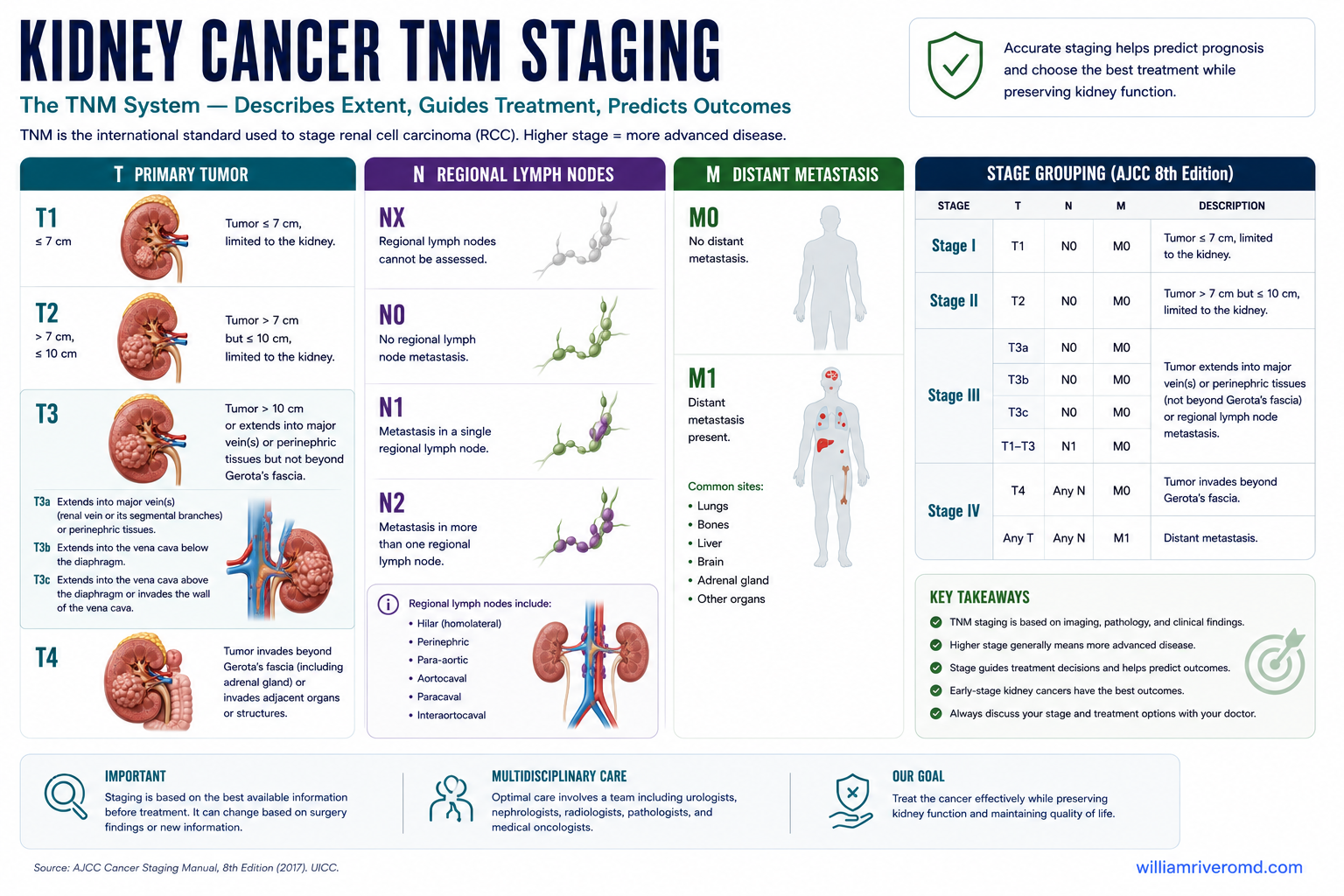 Renal cell carcinoma stages I to IV with corresponding five-year survival, showing how early detection transforms prognosis