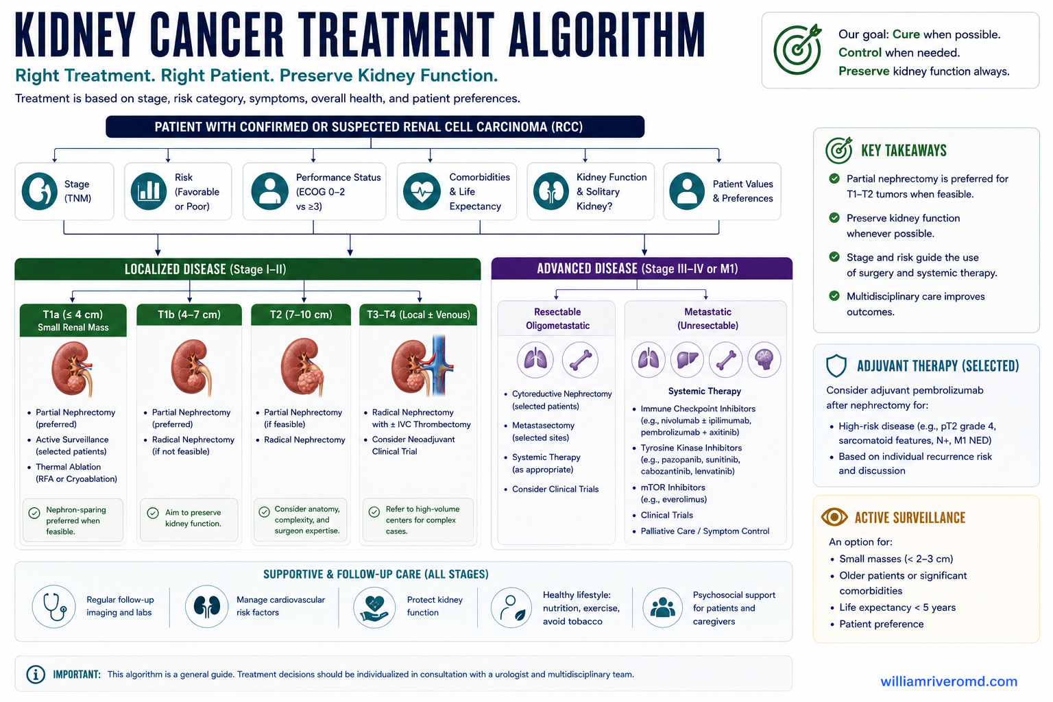Treatment algorithm for kidney cancer by stage — active surveillance, nephron-sparing partial nephrectomy, ablation, radical nephrectomy, and systemic immunotherapy plus targeted therapy for advanced disease