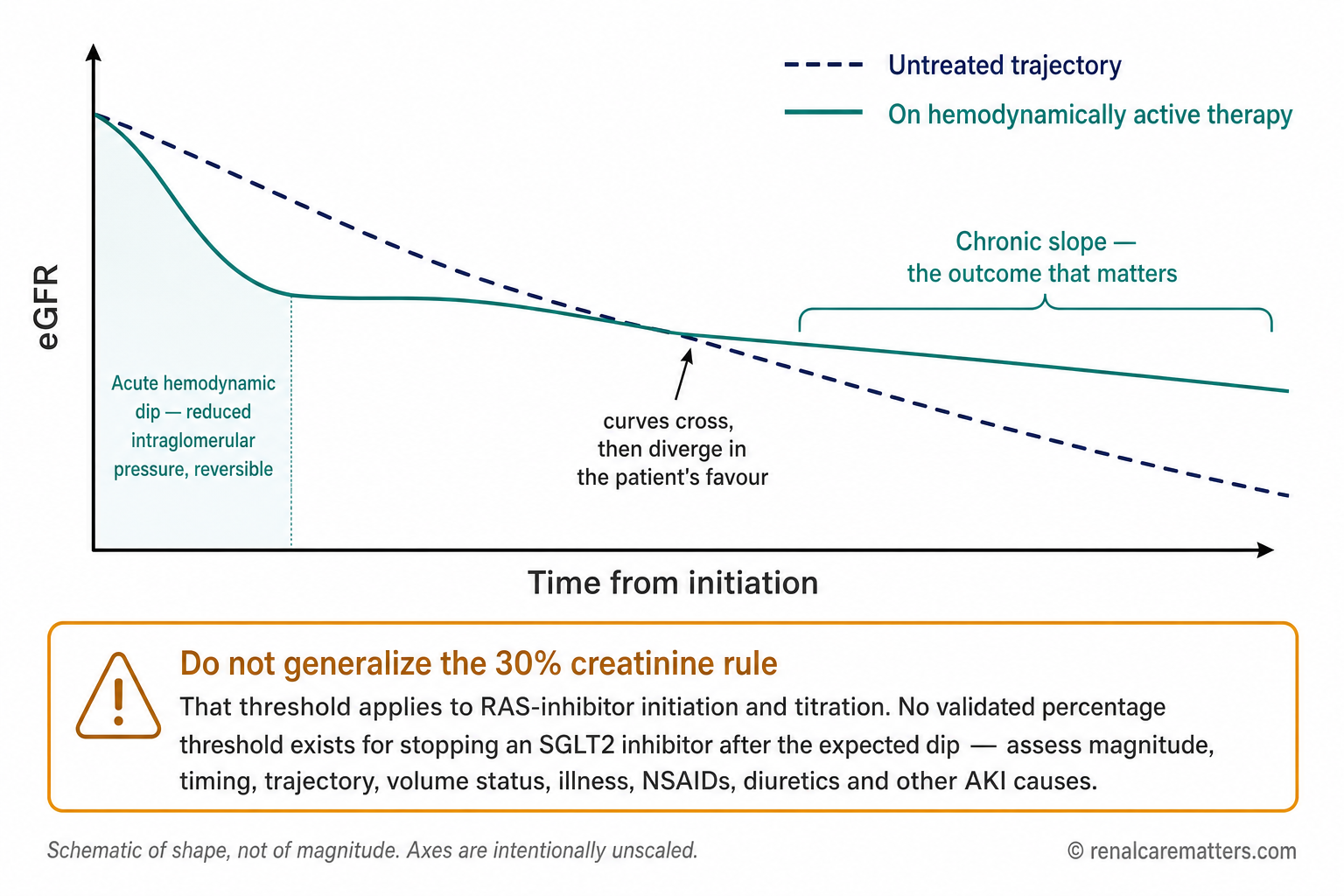 Schematic of eGFR trajectory showing an acute hemodynamic dip after SGLT2 inhibitor initiation followed by a flatter chronic slope compared with placebo