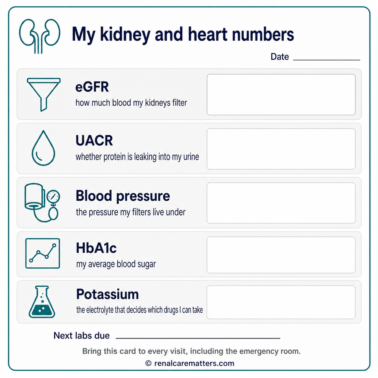 Printable patient card listing eGFR, UACR, blood pressure, HbA1c and potassium with blank spaces to write in results
