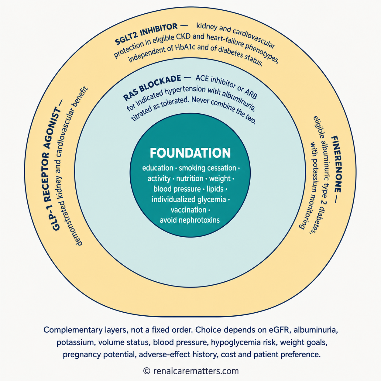 Concentric rings showing foundation care at the center with renin-angiotensin system blockade, SGLT2 inhibition, GLP-1 receptor agonists and finerenone as complementary outer layers