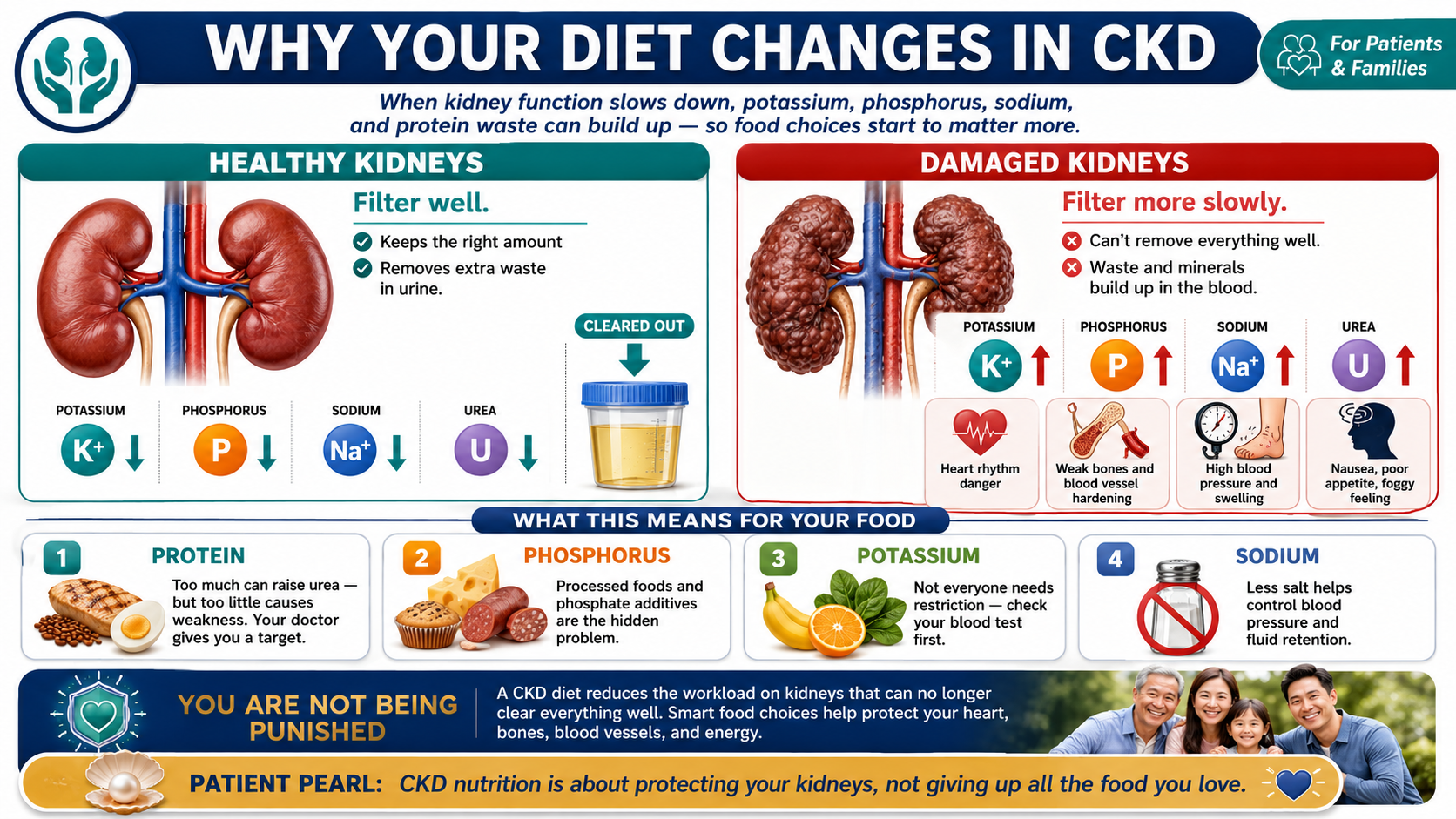 Diagram showing how damaged kidneys accumulate potassium, phosphorus, and urea
