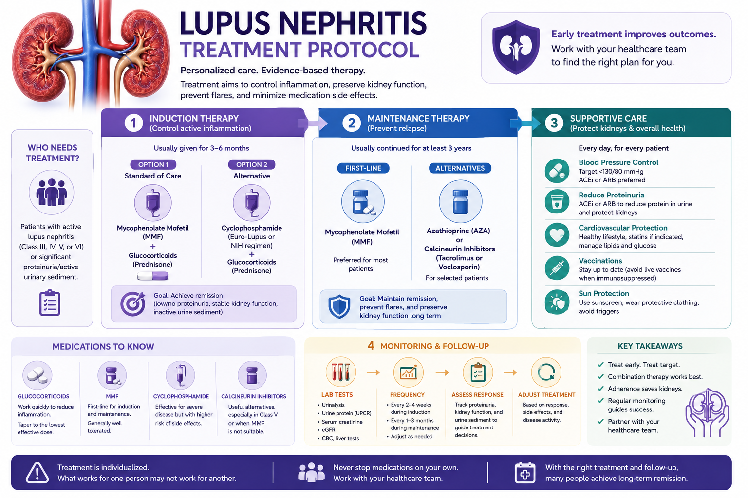Lupus nephritis two-phase treatment timeline: induction months 0–6 with steroids plus MMF, maintenance months 6–36 with tapering, HCQ as lifetime baseline