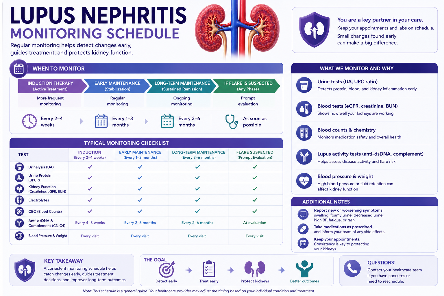 Lupus nephritis monitoring schedule timeline: calendar grid showing UACR, anti-dsDNA, eGFR, and BP check frequencies from induction through maintenance