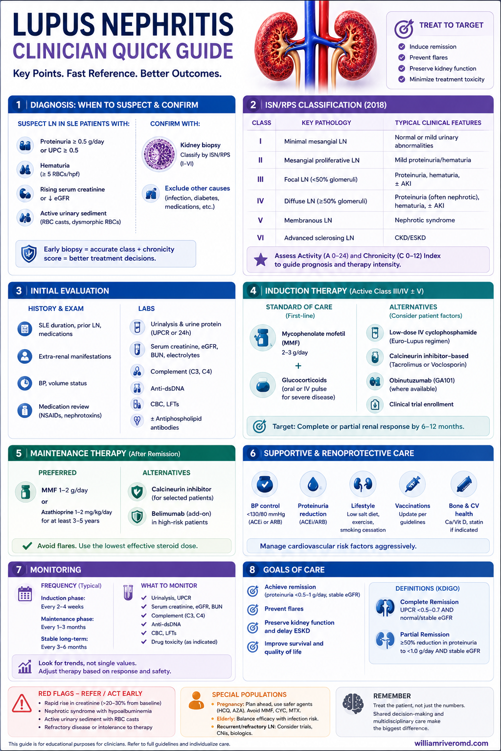 Lupus nephritis one-page clinician quick guide: biopsy indications, treat-to-target goals, induction by class, adjuncts checklist, and escalation algorithm