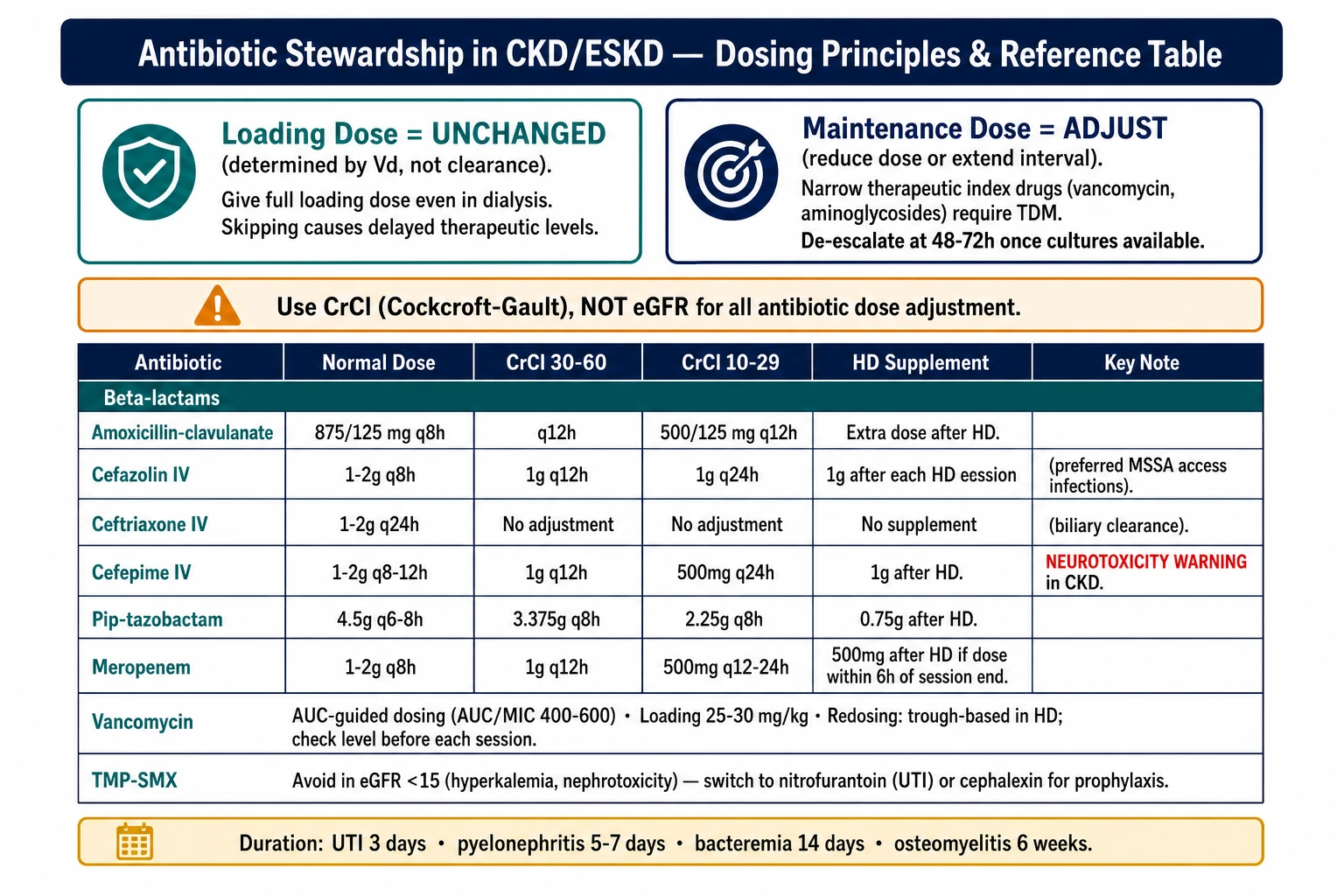 Antibiotic stewardship decision algorithm in CKD and ESKD