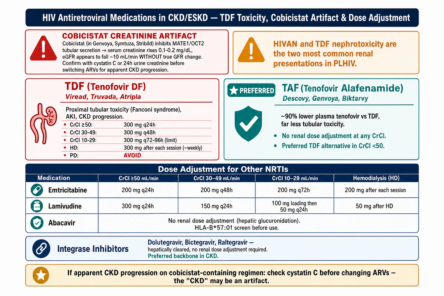 HIV antiretroviral dose adjustment in CKD decision tree