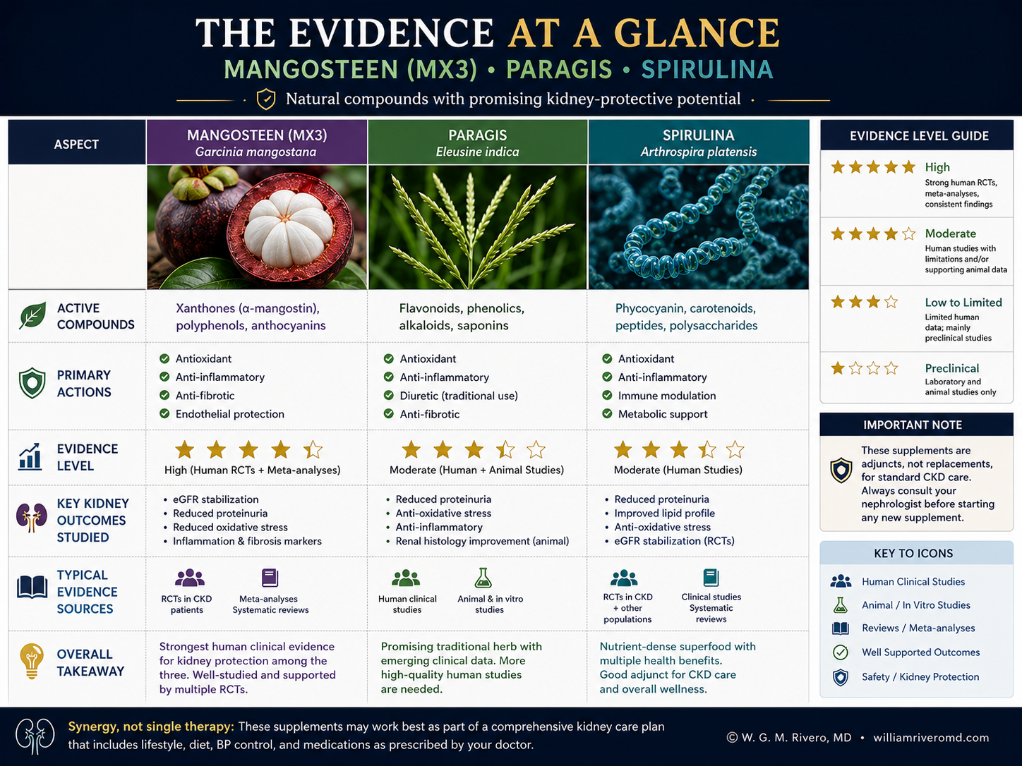 Comparative bar chart: evidence strength for MX3, Paragis, and Spirulina across human RCTs, animal studies, mechanistic data, and human safety data