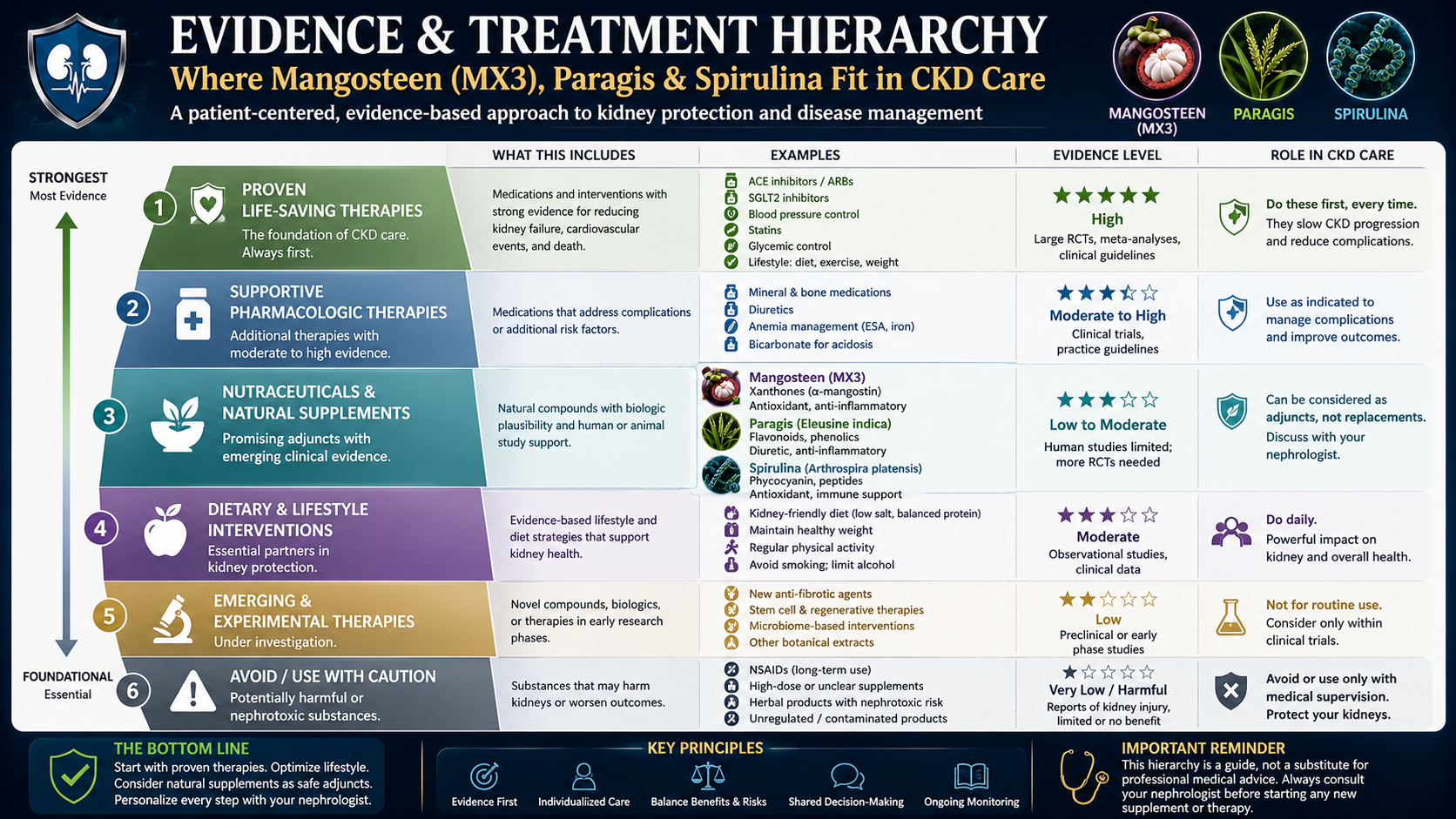 Podium infographic showing kidney protection hierarchy: gold tier (SGLT2 inhibitors, RAS blockade, BP control), silver (protein restriction, glycemic control, uric acid), bronze (spirulina, MX3 as adjuncts), and base (unproven: paragis)