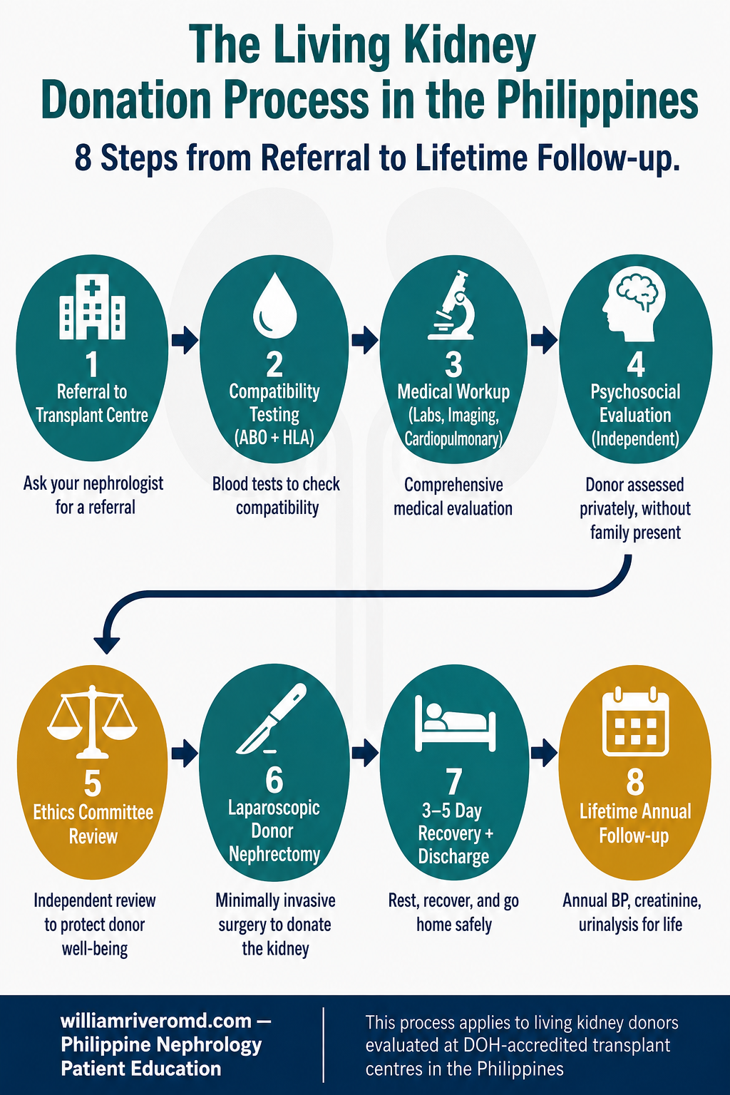 8-step living kidney donation process flow infographic — Philippine context, from referral to lifetime follow-up