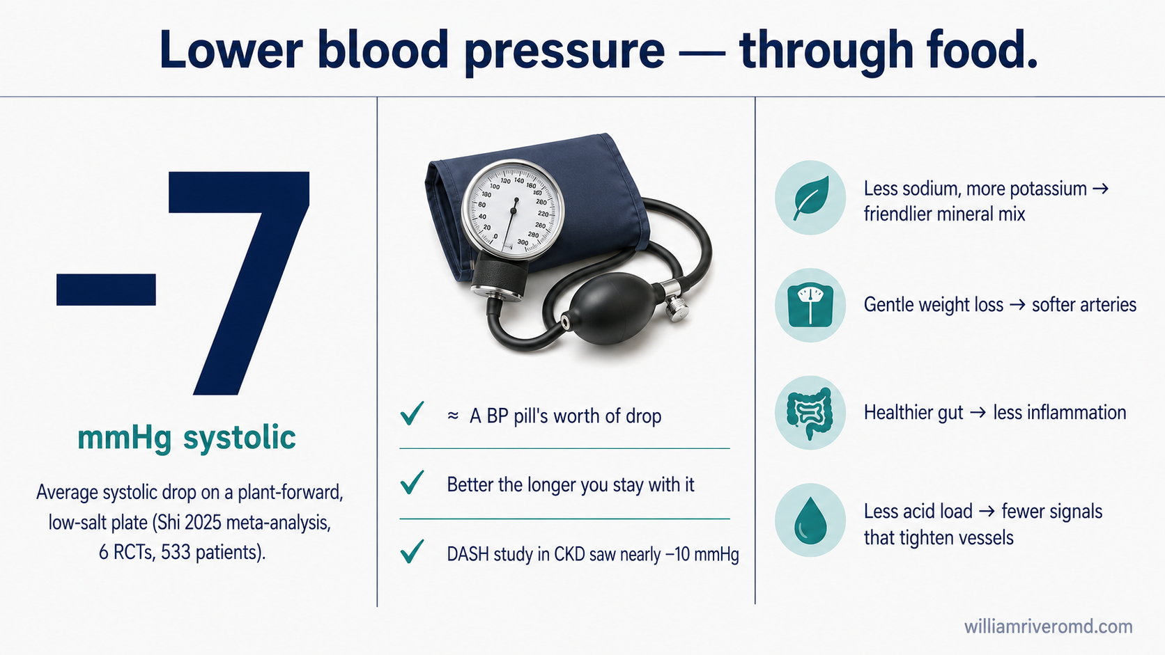 Blood-pressure infographic — a plant-forward, low-salt plate lowers systolic pressure by about 7 mmHg, with the mechanisms behind the effect.