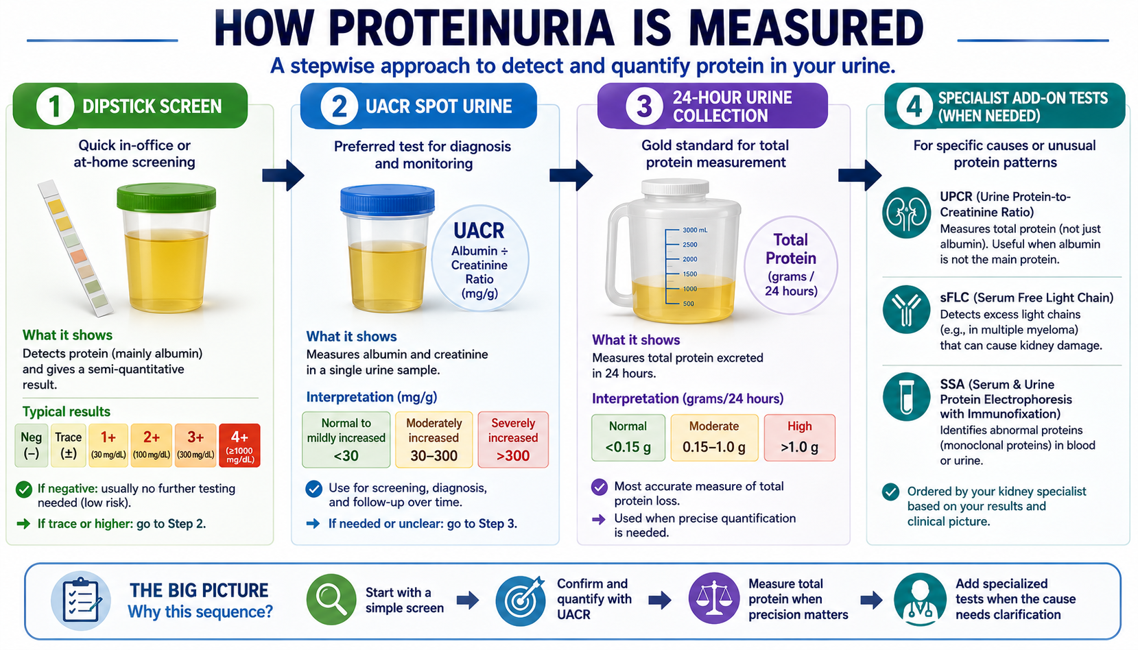 Proteinuria Testing — From Screen to Quantification: 4-step horizontal flowchart — Step 1 Dipstick (rapid screen, trace to 4+), Step 2 UACR spot urine (albumin ÷ creatinine, mg/g), Step 3 24-hour urine (gold standard total protein in grams), Step 4 specialist tests (UPCR, sFLC, SSA) when needed
