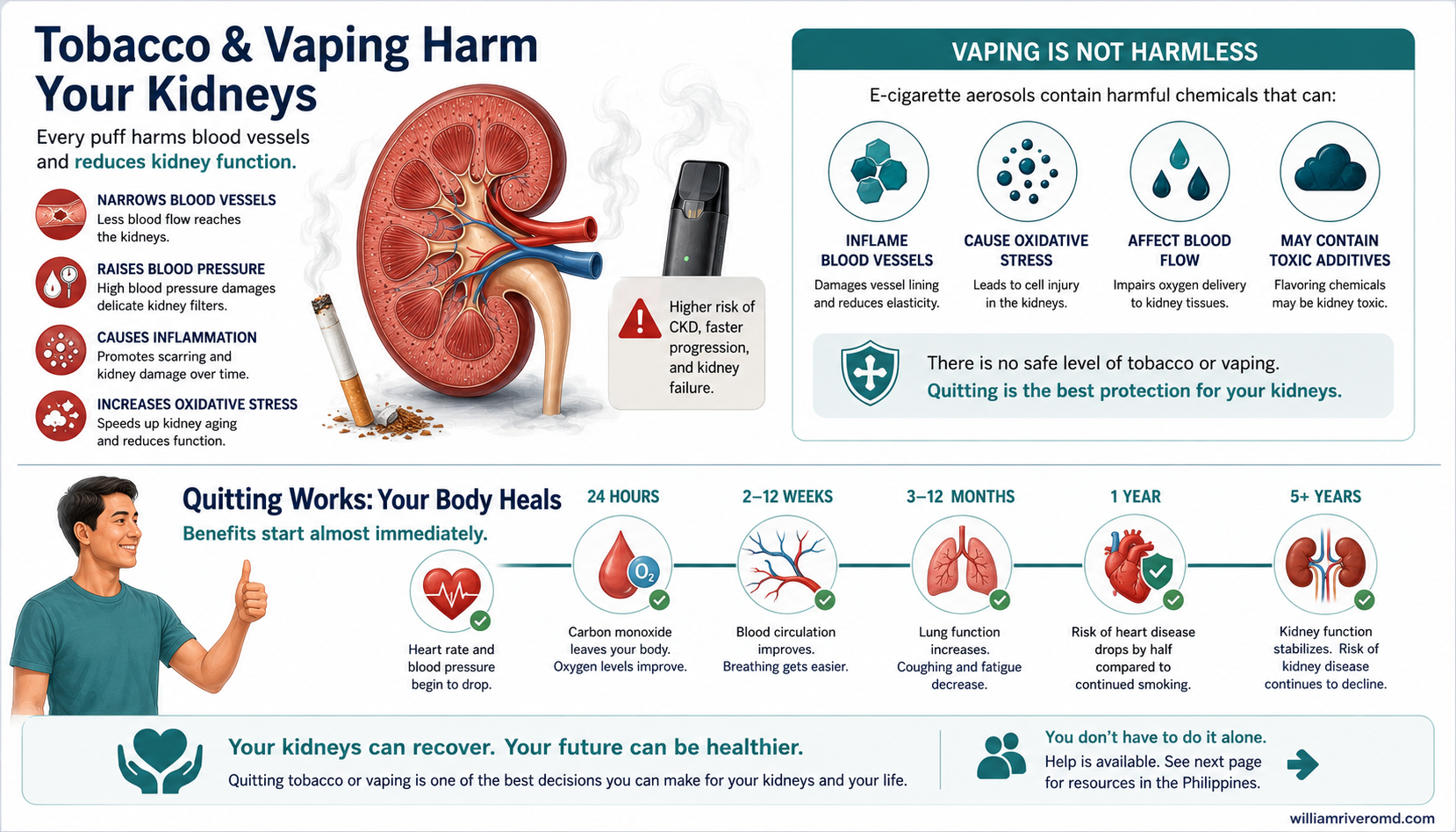 Infographic: tobacco and vaping harm the kidneys; quitting helps.