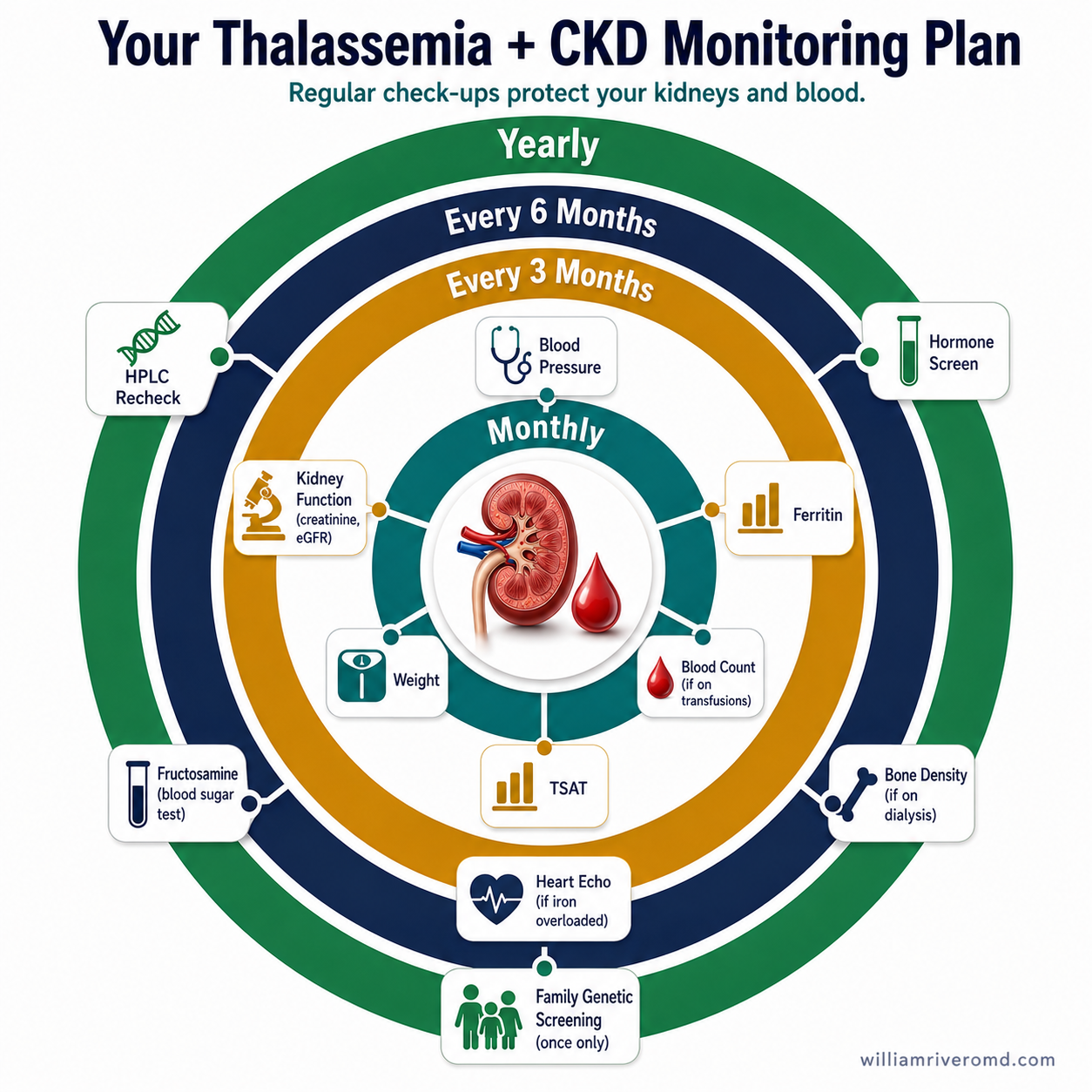Circular monitoring wheel showing thalassemia + CKD follow-up schedule: monthly (BP, weight, CBC), every 3 months (kidney function, ferritin, TSAT), every 6 months (fructosamine, echo), and yearly (HPLC, endocrine, family screening)